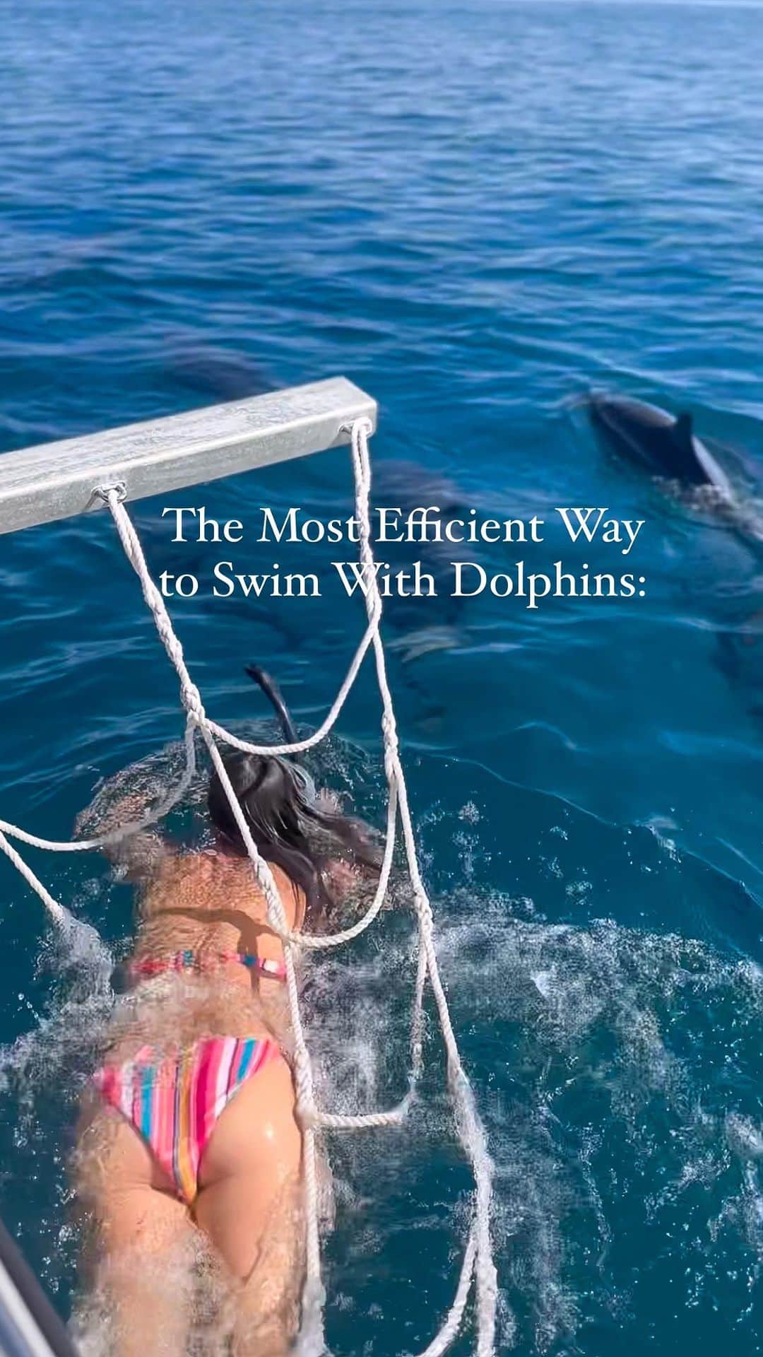 アリサ・ラモスのインスタグラム：「The most efficient way to swim with dolphins (and actually keep up) that I’ve never seen anywhere else in the world besides Papua New Guinea: getting dragged on a rope ladder on the side of a boat!!!  When the dolphins suddenly started jumping ahead, my instinct was to throw on the mask and fins and dive off the boat to try to free-dive with them for as long as I could keep up. But I was told to go on the rope ladder contraption instead…  Being the stubborn person I am, I dove in anyway, and per usual, could not swim anywhere near as fast as the dolphins. So I tried their rope ladder option even though it looked questionable 😂  Basically you lay on top of it and just put your face in the water with the mask and snorkel. Then the boat slowly goes forward, which causes a little draft underwater at the bow, which dolphins apparently love to surf in!  So you get to swim with them up close for quite a while! It’s really incredible! And also a great option if you can’t swim or aren’t an Olympic gold swimmer who can keep up with a dolphin!  We’ll definitely be doing this on the 2024 Papua New Guinea group trip! Who wants to do it?  Also some ppl asked if it hurt: it wasn’t the most comfortable thing, but neither is trying to hold your breath to free dive with dolphins! I’d definitely do it again and again!  #pngpride #papuanewguinea #dukeofyorkislands #pngtribal #pngtribalfoundation #mylifesatravelmovie #rabaul #eastnewbritain #dolphins #swimmingwithdolphins #ethicaltravel」
