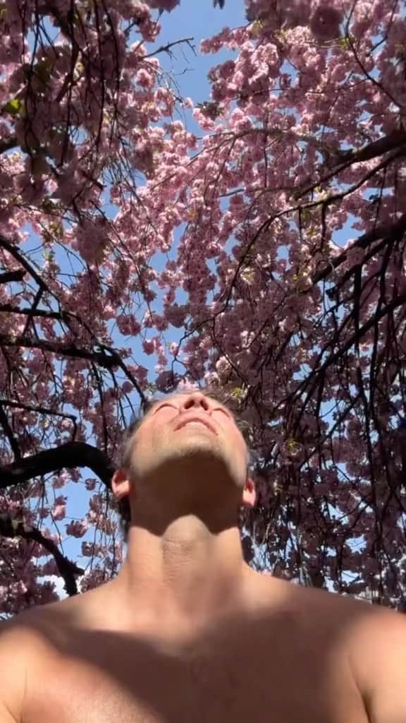 ミーシャ・コリンズのインスタグラム：「The trees are much better-dressed than I am today.   #treesofinstagram」