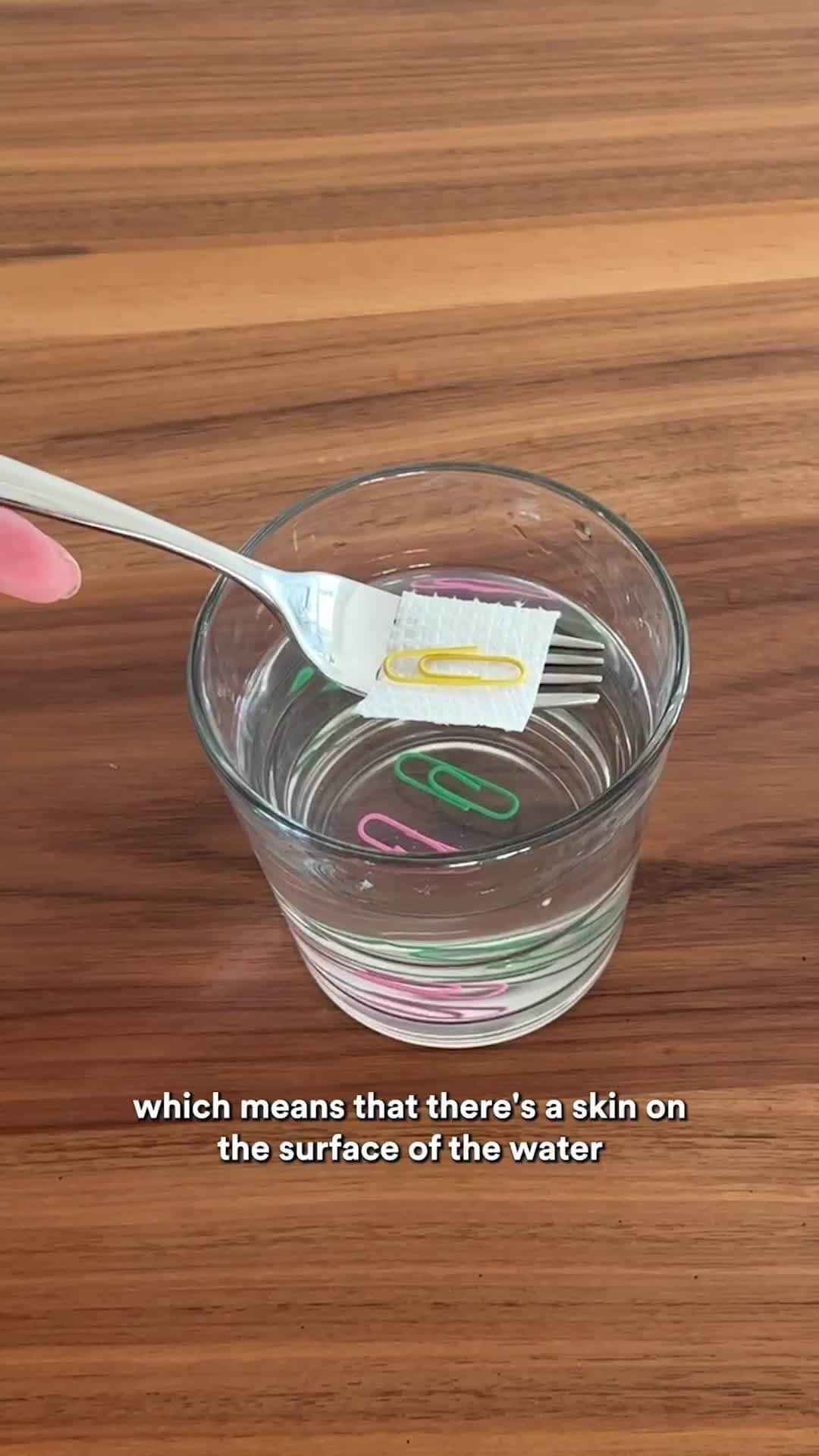 3M（スリーエム）のインスタグラム：「Sink or swim? 📎 How does this work? Surface tension! This force makes a layer of liquid act like an elastic sheet, holding the paper clip in the water. Try this quick and easy science experiment and see it for yourself! 😉   #ScienceAtHome #science #experiment」