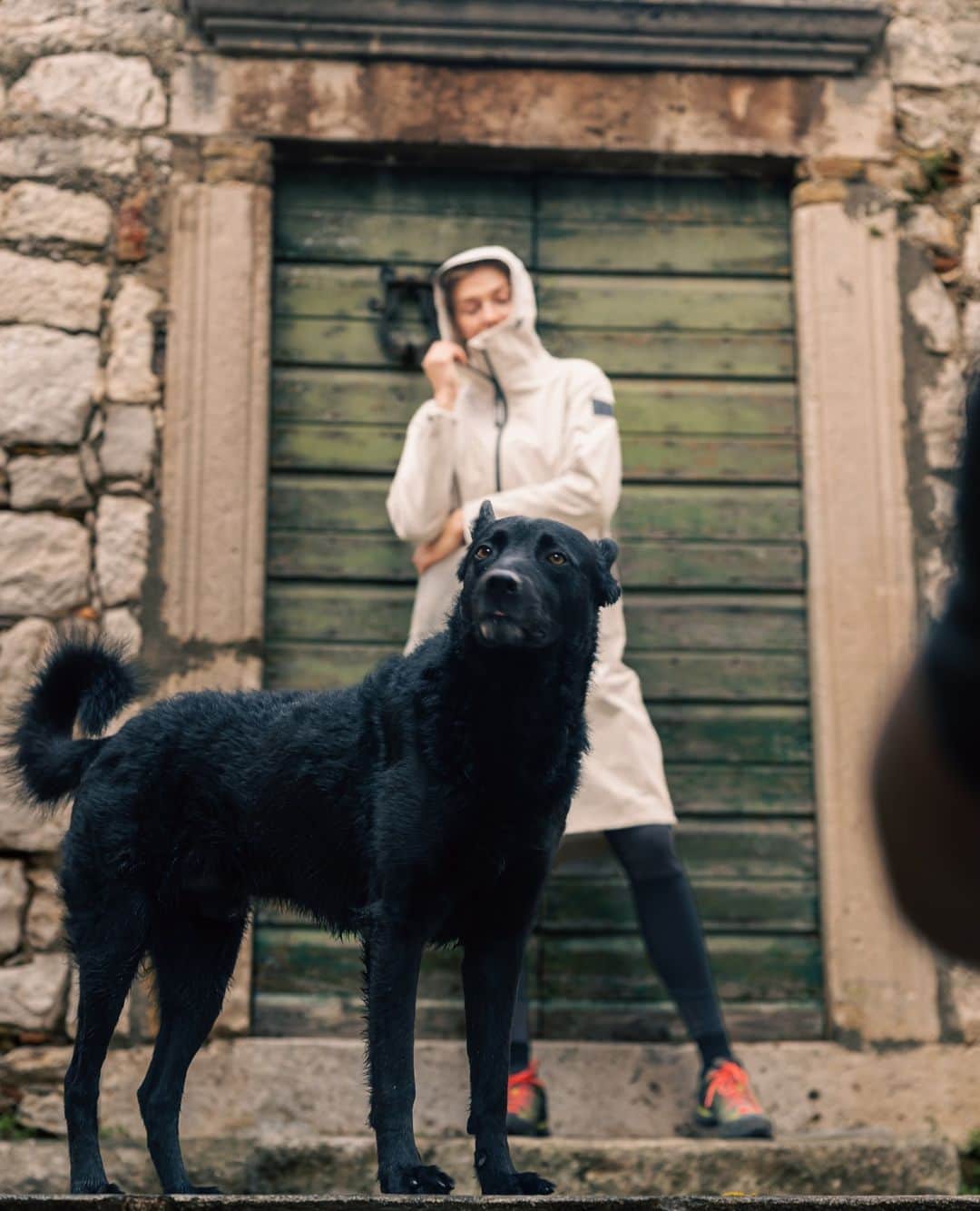 テンソンのインスタグラム：「Hey there, what about me? 🐶 Our stray furry friend takes the center stage leaving @lilyfcarlson rocking our classic Maxi Parka out of focus in the background.⁠ ⁠ #tenson #theswedishoutdoorbrand」