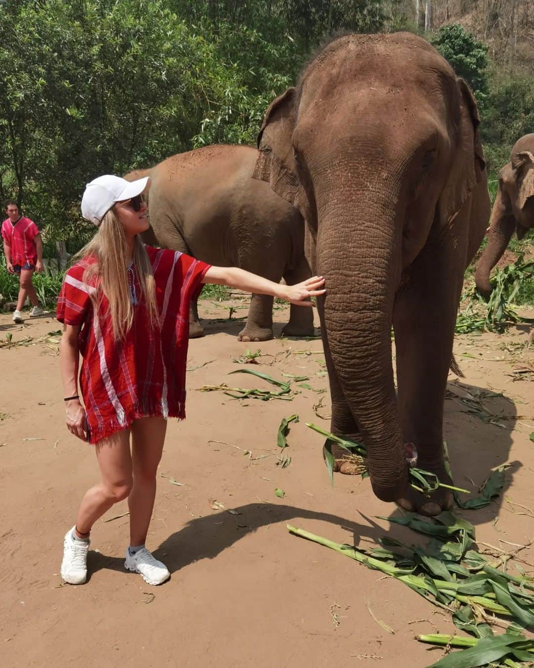ダーシャ・ゲルムさんのインスタグラム写真 - (ダーシャ・ゲルムInstagram)「Elephants ♥️  Being so close to them, making medicine balls (only some natural proteins from sticks, flavouring it with banana and some nuts and other yummy things), is truly something unique.  Will remember this feeling forever 🥰  #elephants #thailand #chiangmai #nature #animals」4月18日 0時55分 - grmdas