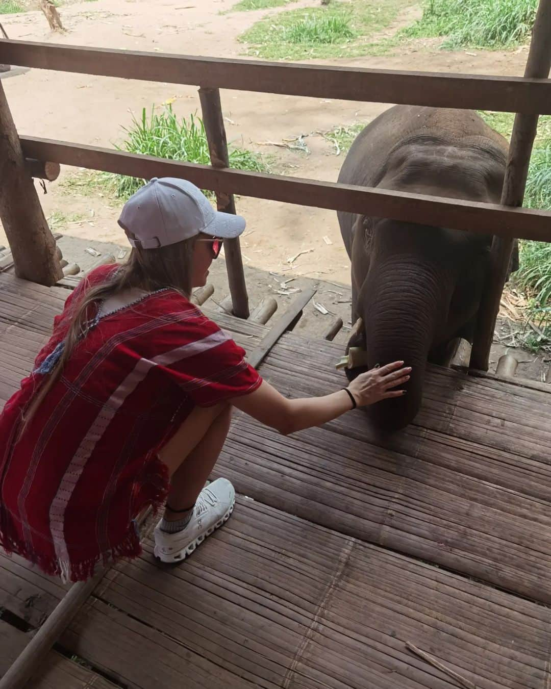 ダーシャ・ゲルムさんのインスタグラム写真 - (ダーシャ・ゲルムInstagram)「Elephants ♥️  Being so close to them, making medicine balls (only some natural proteins from sticks, flavouring it with banana and some nuts and other yummy things), is truly something unique.  Will remember this feeling forever 🥰  #elephants #thailand #chiangmai #nature #animals」4月18日 0時55分 - grmdas