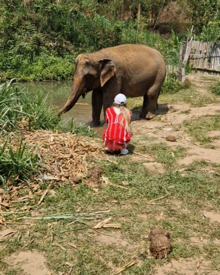 ダーシャ・ゲルムのインスタグラム：「Elephants ♥️  Being so close to them, making medicine balls (only some natural proteins from sticks, flavouring it with banana and some nuts and other yummy things), is truly something unique.  Will remember this feeling forever 🥰  #elephants #thailand #chiangmai #nature #animals」