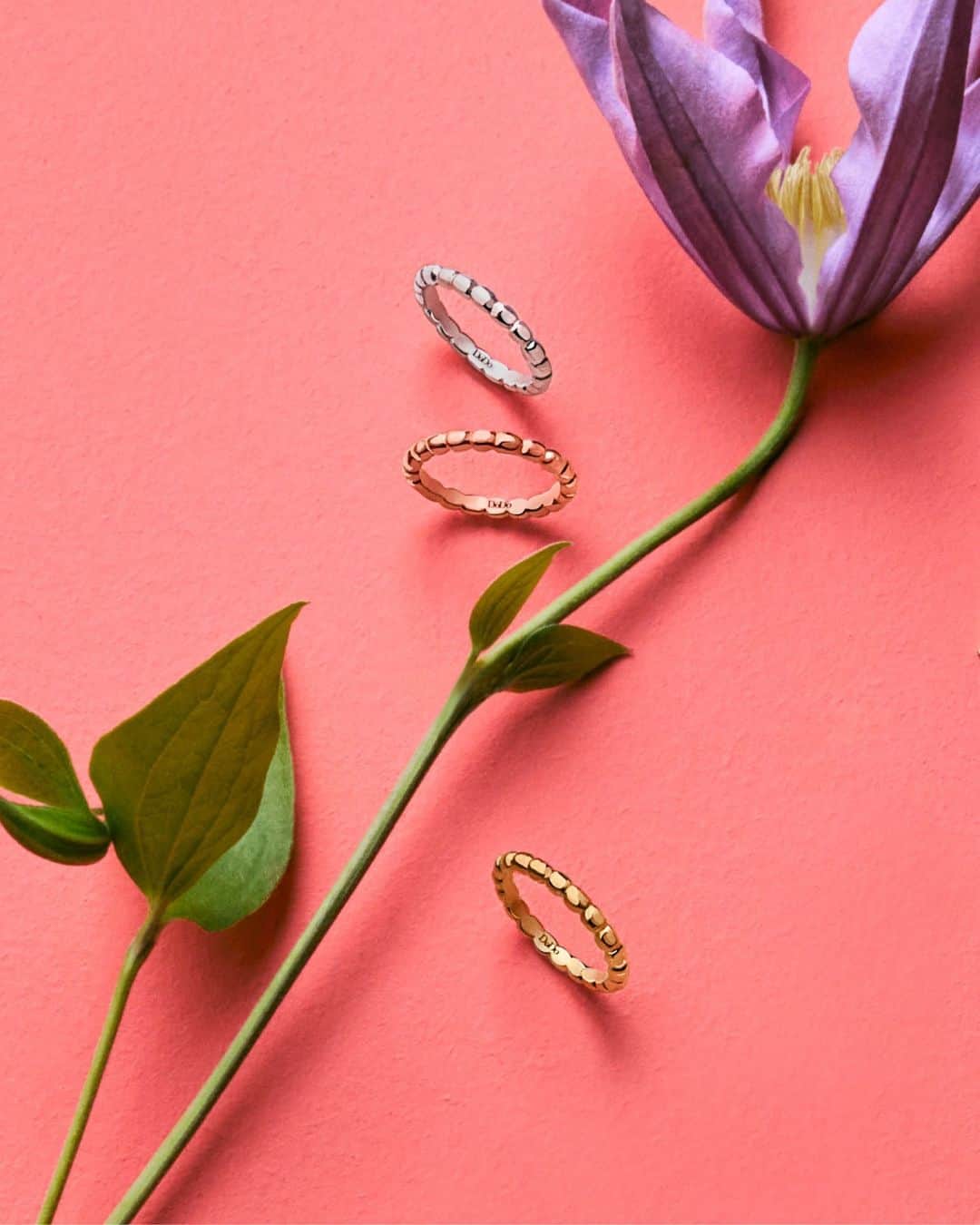 ドドさんのインスタグラム写真 - (ドドInstagram)「Combine rose gold, yellow gold and silver Granelli rings to add a touch of springtime shine.​⁣ ​⁣ #HouseOfDoDo​⁣ #DoDoJewels」4月18日 0時58分 - dodojewels