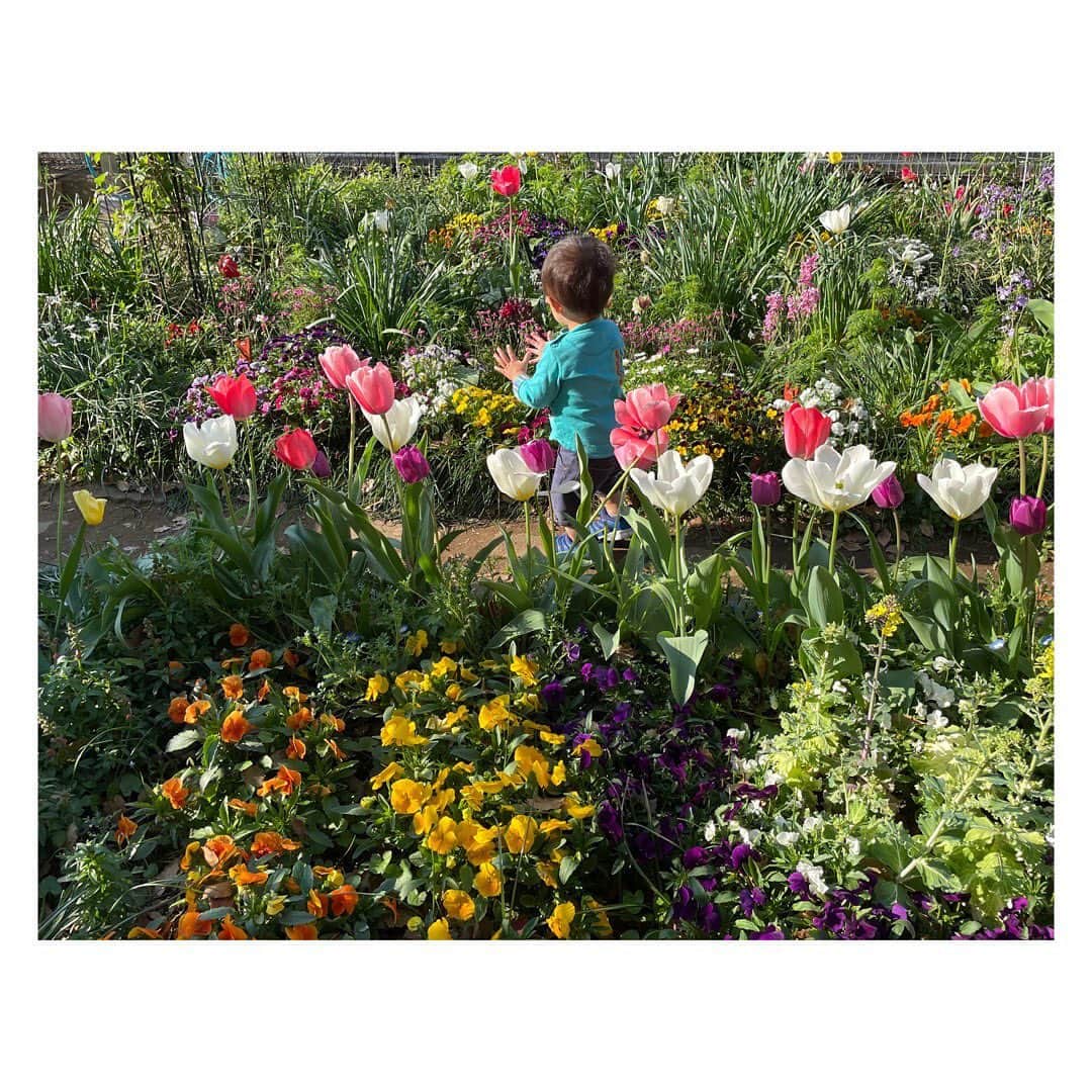 柳野玲子のインスタグラム：「👶男の子👶 先日は #練馬区 の #光ヶ丘公園 へ🥰 #お花畑 🌷 手を叩いて喜ぶ #息子 💓  最近の息子は登ったりぶら下がるのが大好きになって活発になってきました😊 #男の子 だなぁ〜😆✨  我が家も #アスレチック 化してきました🥰  #一歳 #一歳八ヶ月 #男の子 #男の子ママ #子供 #滑り台 #ジャングルジム滑り台」
