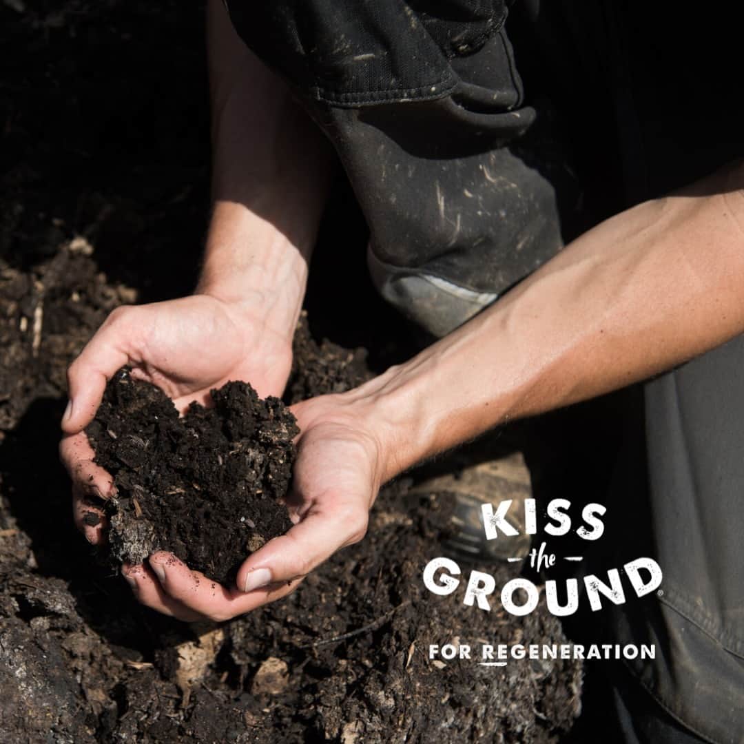 Weledaさんのインスタグラム写真 - (WeledaInstagram)「Shop to support @Kisstheground 🌍💚! In honor of Earth Week, Weleda North America will be donating 20% of profits from purchases made from 4/17-4/22 to @Kisstheground, an organization dedicated to educating people about regenerative agriculture and inspiring them to take action!⁠ ⁠ Shop now on Weleda.com and support the amazing impact @kisstheground is making on our planet! #EarthWeek」4月18日 4時01分 - weleda_usa