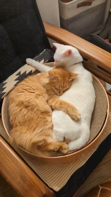 岡田屋鉄蔵のインスタグラム