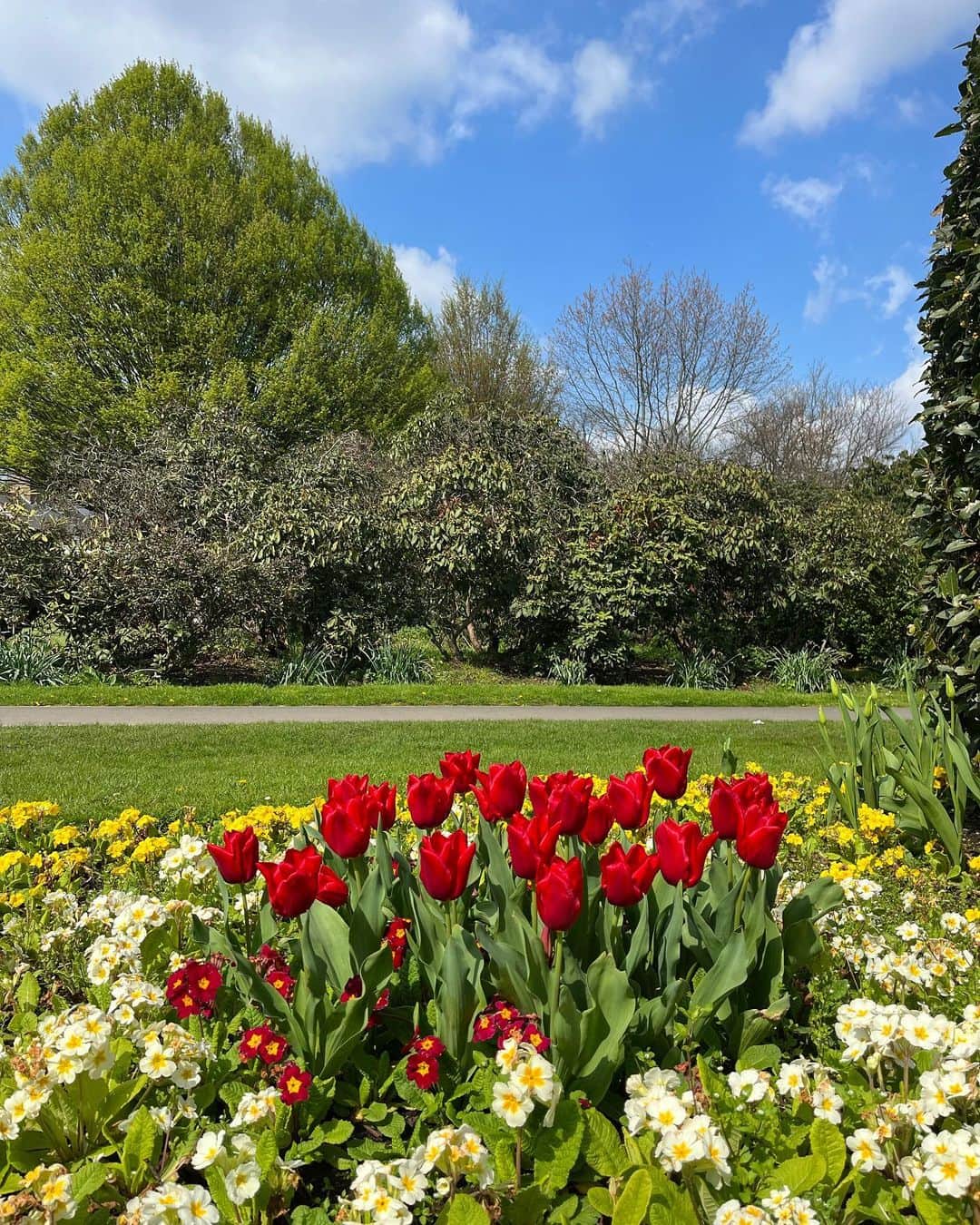 メラニー・サイクスさんのインスタグラム写真 - (メラニー・サイクスInstagram)「What a beautiful day.  Hope you took a look at all the colours out there. Nature was alive and well and so was I. 🤸🏽‍♂️💫❤️  Sending love,  Melanie x  #adayofbeauty #greenspace  #towncentre  #tulips」4月18日 4時13分 - msmelaniesykes