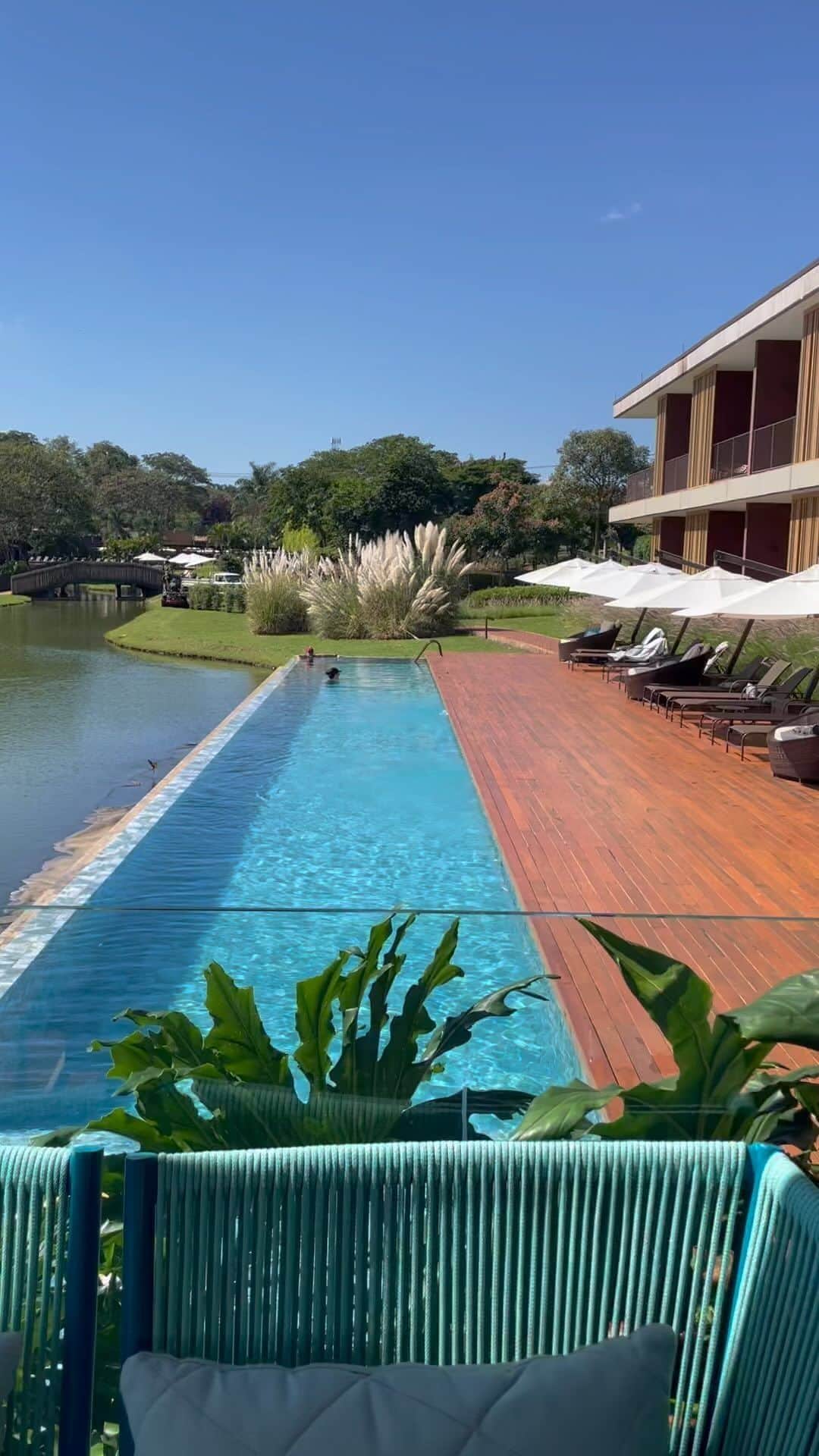 太田エイミーのインスタグラム：「@clararesorts」