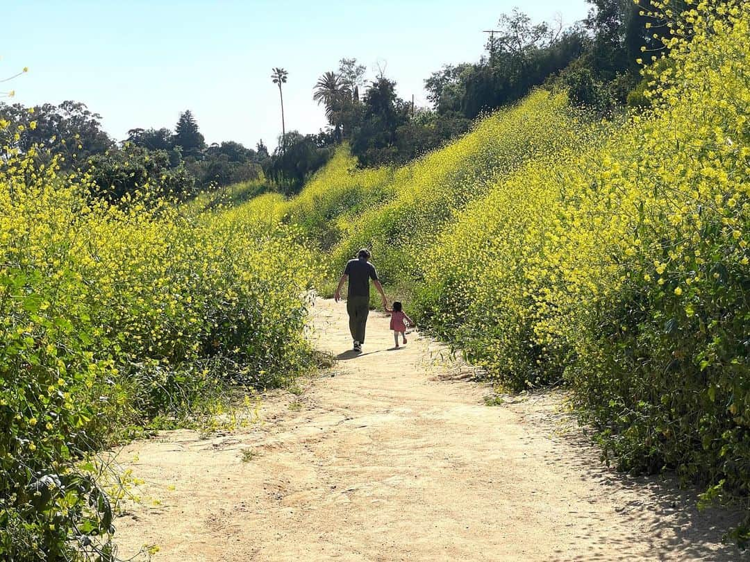 エレン・ウォンのインスタグラム：「🌾🌾🌾 #nofilter」