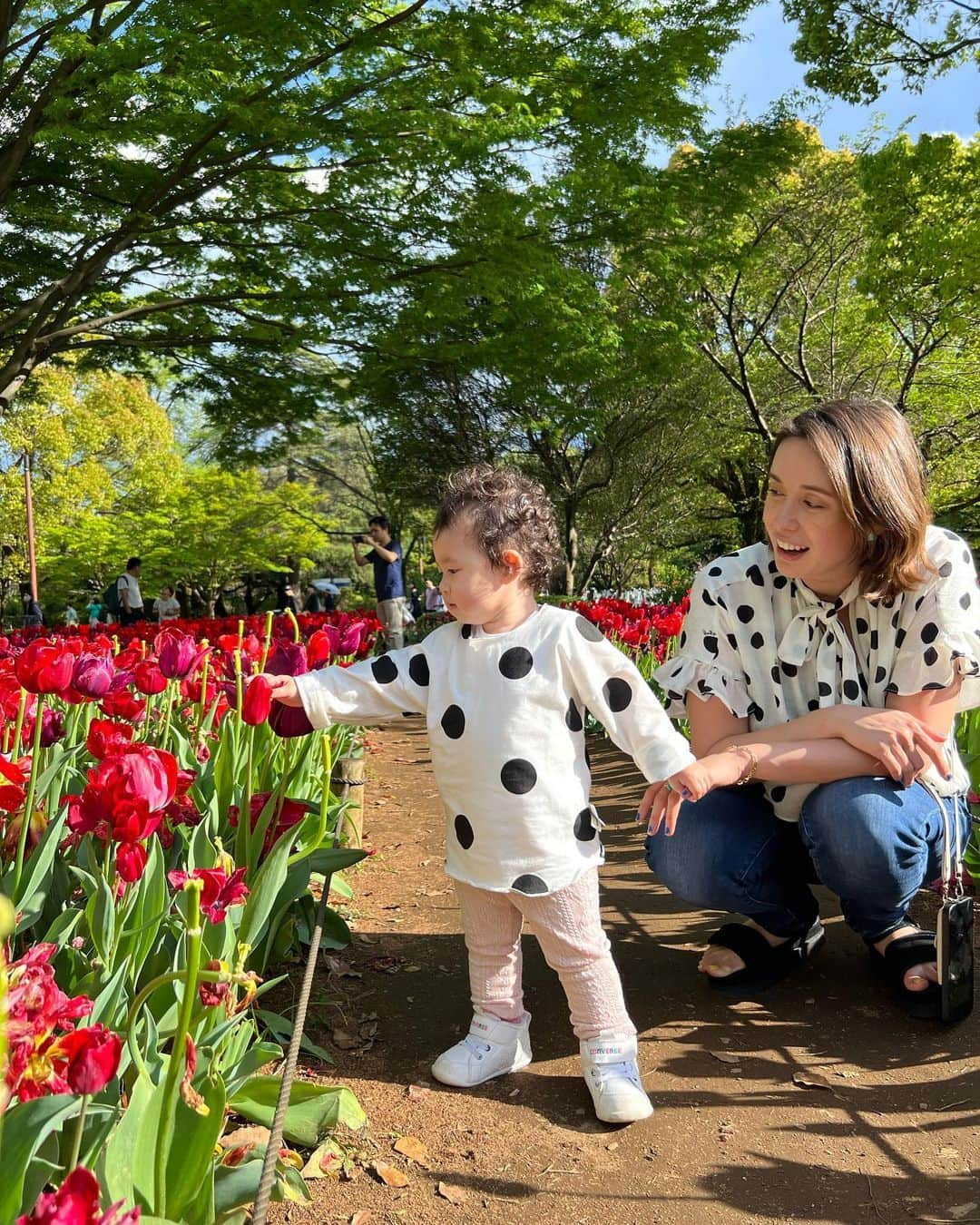 堀口ミイナさんのインスタグラム写真 - (堀口ミイナInstagram)「国立昭和記念公園のチューリップが見頃でした。チューリップ好きだなぁ🌷トルコの国花でもある。小さい子たちがみんな「咲いた〜咲いた〜」を歌いながら花壇を歩いてたのが可愛かった🫶✨ピクニックエリアも、買い食いできる美味しそうなものもたくさんあって、ワンちゃんもオシャレな子がいっぱい来てて、和みます🫧」4月18日 6時55分 - mina_mina_miiina