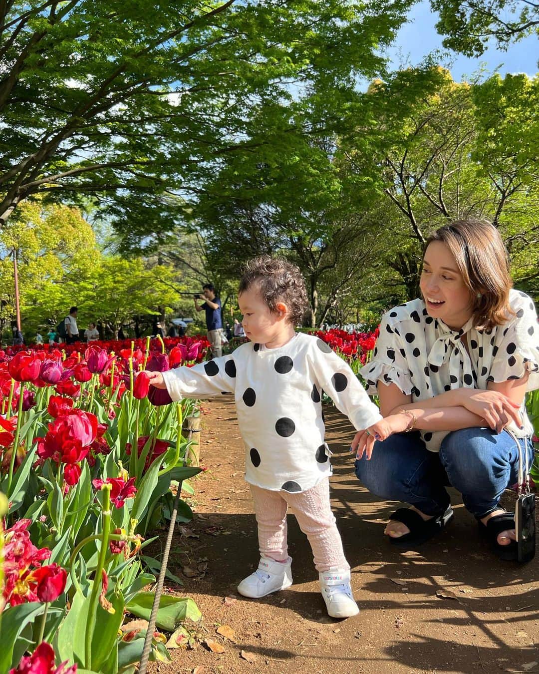 堀口ミイナのインスタグラム：「国立昭和記念公園のチューリップが見頃でした。チューリップ好きだなぁ🌷トルコの国花でもある。小さい子たちがみんな「咲いた〜咲いた〜」を歌いながら花壇を歩いてたのが可愛かった🫶✨ピクニックエリアも、買い食いできる美味しそうなものもたくさんあって、ワンちゃんもオシャレな子がいっぱい来てて、和みます🫧」