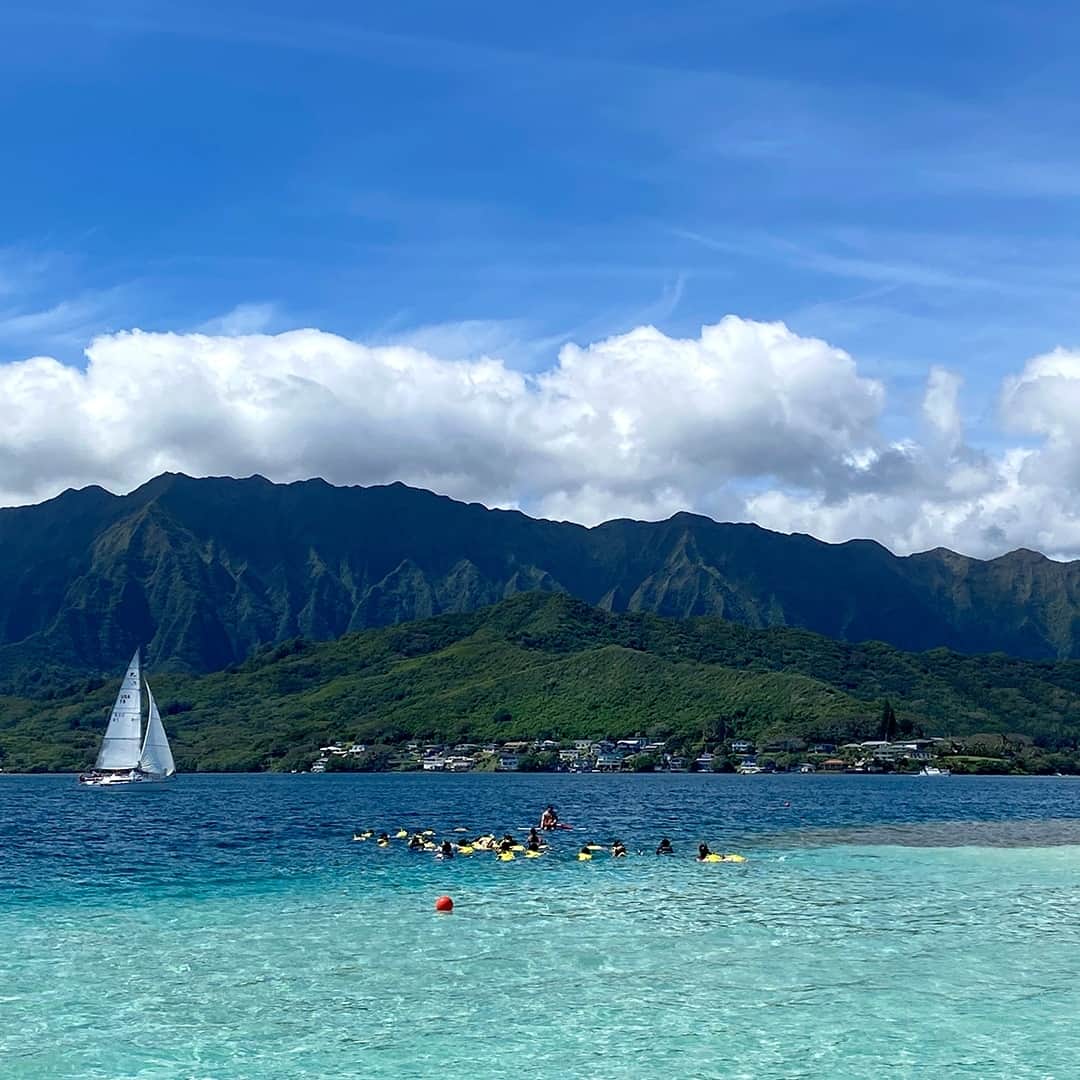 Luxury Cruise by Captain Bruceのインスタグラム：「思わず「Wow😮」と口から漏れてしまう⁠ 何度訪れても天国の海に魅せられてしまいますね😍⁠ ⁠ #キャプテンブルース🔹⚓🔹 #天国の海ツアー #天国の海  #ハワイ #ハワイの自然 #シュノーケリング #カネオヘサンドバー #oahu ⁠#kaneohesandbar #hawaii #ahuolaka #hawaiivacation #hawaiitours #familyfriendlytravel #kaneohesnorkeling #hawaiinature #captainbrucehawaii」