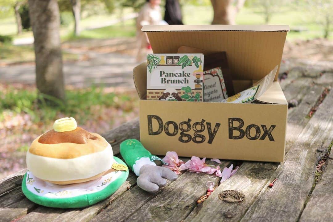 yun.ゆんさんのインスタグラム写真 - (yun.ゆんInstagram)「cotton.💭 パンケーキはすきでしゅか？🥞💞 . . . ピクニック気分で ドギーボックスの開封式。🌳 @doggybox_jp 🐶📦  なんてふかふかで おいしそうなパンケーキなんだろう…🤤 フォークまでついてるよ。🍽  かわいいし おやつもおいしいし うれしくて にこにこコットン。💭 . ボールの代わりに 恒例のおもちゃキャッチボールでさらに テンションMAX❗️ run runすごかったね。😂🎵 . . おやつ3種 ◯たまごせんべい ◯石見ポークラングダイス ◯宗田節スライス  便利グッズ ◯イヤークリーナ　 . . . ♪ ♪ ♪ #パンケーキ #ピクニック  #doggybox  #ドギボ#ドギーボックス#pr#ZIP写真部#ふわもこ部#多頭飼い#犬とうさぎ#うさぎと犬 #犬#dog#いぬすたぐらむ#dog#poochon #bishonfrise #犬のいる暮らし#いぬのきもち #犬バカ部#犬おもちゃ」4月18日 16時49分 - march.lemon
