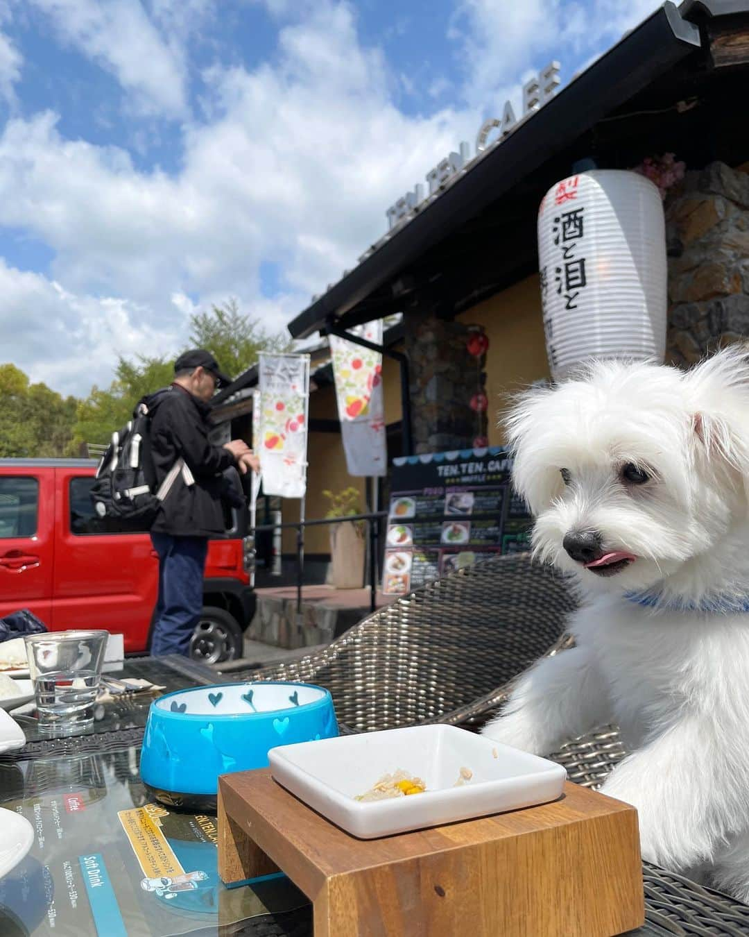 河島あみるさんのインスタグラム写真 - (河島あみるInstagram)「テンテンカフェで初ランチを楽しむ リロ🐶 決まったドッグフードしか食べなかったのに、 ふだんご飯もらってない子みたいに爆食い🤣 何が入ってるんだーー（無添加です）  #ドッグメニューあります #テンテンカフェ#東大寺#東大寺門前夢風ひろば#奈良#奈良カフェ#テラスカフェ #ドッグカフェ奈良#まるぽめ#ポメマル#奈良公園#narapark #dogcafe」4月18日 17時15分 - amiru_kawashima