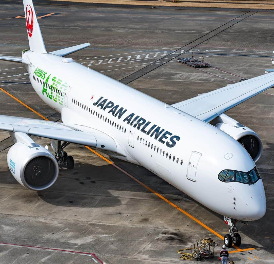 JALさんのインスタグラム写真 - (JALInstagram)「. 朝の羽田空港とグリーンロゴのエアバス #A350 3号機✈︎ #MyAprilAdventure   Airbus A350, Haneda Airport. . . Photo by @drg_aero Post your memories with #FlyJAL  #JapanAirlines #JAL #airplane #✈︎ #羽田空港 #東京国際空港 #空港 #羽田 #朝 #フライト #グリーン #緑 #特別塗装機 #ロゴ #エコ #エアバス #鶴丸 #飛行機 #飛行機写真 #飛行機撮影 #飛行機のある風景 #飛行機のある空 #飛行機好き #空港 #旅行 #日本航空」4月18日 17時30分 - japanairlines_jal