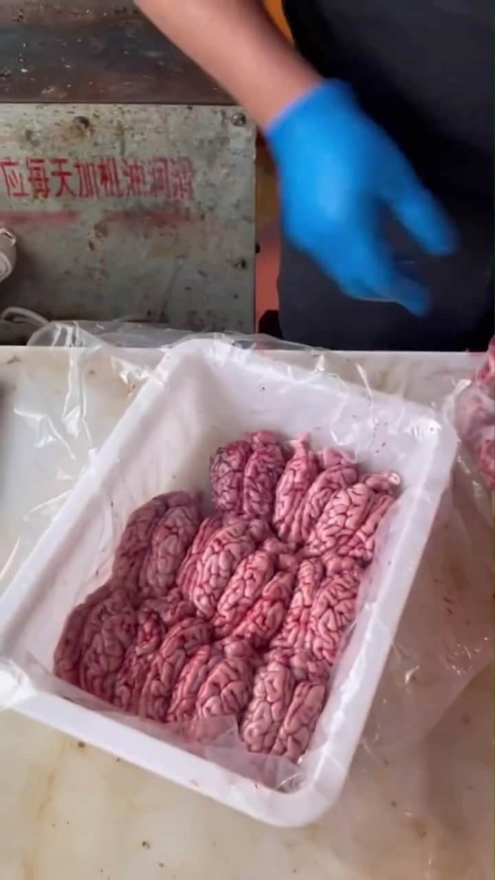 ファンクマスター・フレックスのインスタグラム：「👋👀 SEVERAL QUESTIONS? I NEVER KNEW PEOPLE ATE ANIMAL BRAINS? IS THIS NEW? WOW PEOPLE EAT EVER PART OF THE PIG? BRAINS YES OR NO? @crabolita」