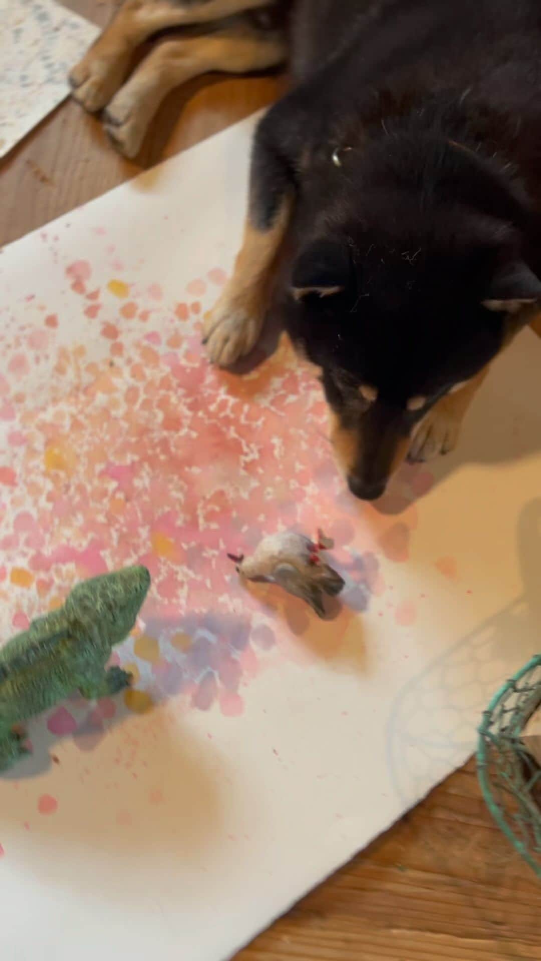 はしもとみおのインスタグラム：「月くん、絵の上で寝て彫刻達を眺める朝  #黒柴月くん#shibastagram #shiba #shibainu #japanesedog」