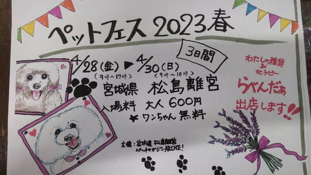 らべんだぁのインスタグラム：「おはようございます。  🔸お知らせ ペットフェス2003春 に「らべんだぁ」も出展致します。 わんちゃん雑貨など手づくり作家さんの作品をご紹介する予定です。  💕作家さん 「ウッディ工房しらい」さん 「コムジュスイ」さん 「kawaiiうさぎ」さん 「アトリエ　オリーブ」さん 他にも動物の編みぐるみやブローチ等々作家さんの 「ひらめき雑貨やアクセサリー」  お時間のある方、お立ち寄りくださ〜い🤗  @petmagazine.arche  でご紹介頂きました。 ありがとうございます。  * #仙台#秋保#秋保温泉#秋保雑貨#らべんだぁ」