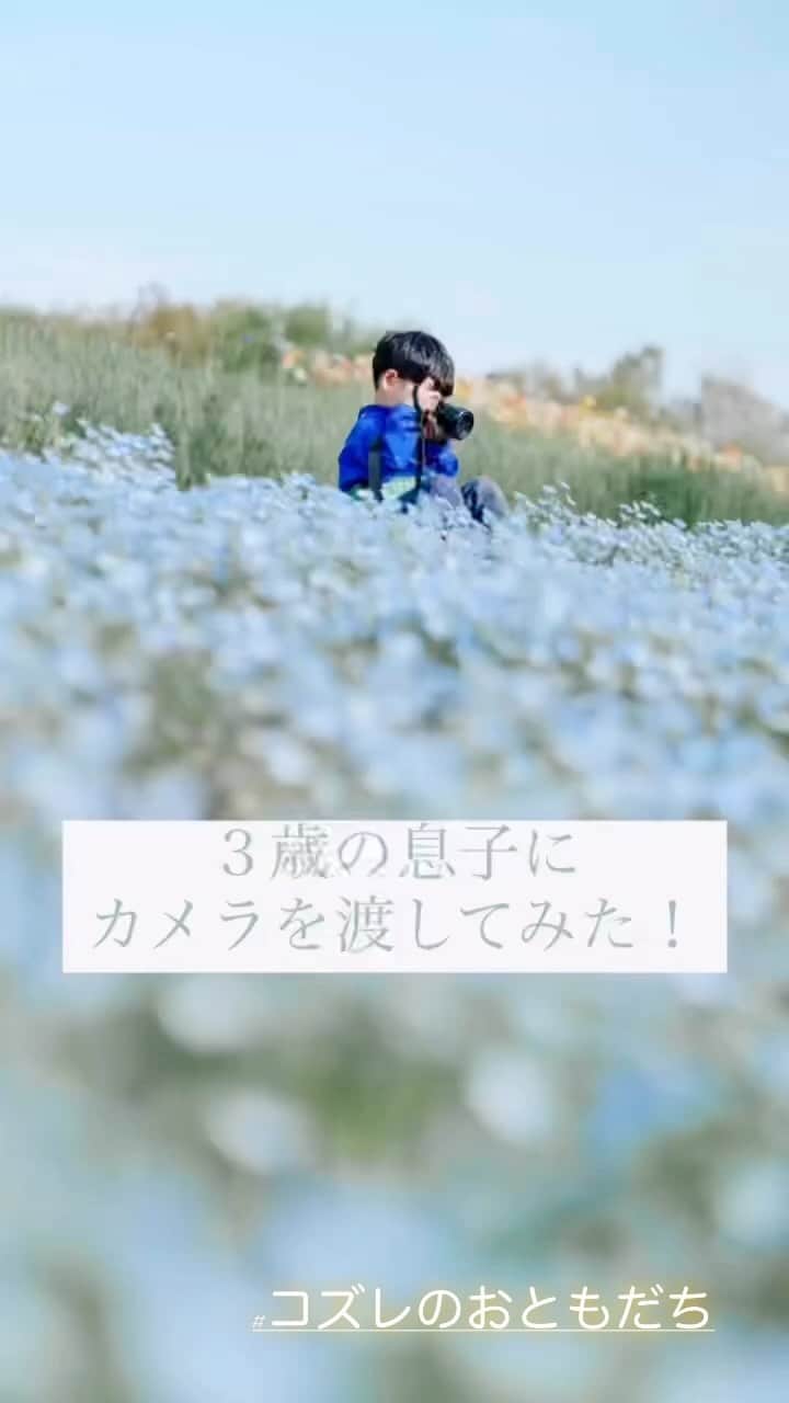 cozre（コズレ）マガジン公式のインスタグラム：「@cozreマガジン、ピックアップリール動画✨✨  写真センス抜群😭！！ ついつい見惚れてしまいました… ステキな動画にタグ付けいただきありがとうございます👶🏻🌸 • ☆☆☆☆☆ • みなさまの「子育て👪」に関するお写真・動画・リール等をお待ちしてます！ • Follow @cozre Tag #コズレ • 編集部でピックアップしてSNSでリポストや@cozreマガジン内の記事にてご紹介させていただきます🎶 (画質等調整し使用させていただく事がございます📱🔧) • ☆☆☆☆☆ • 月間300万人が訪れる！@cozreマガジンには妊娠・出産・子育て情報が満載！プレゼントキャンペーン🎁も実施中🤤✨ • #コズレ #cozreマガジン 編集部 • • #子供 #子ども #赤ちゃん #赤ちゃんのいる生活 #赤ちゃんのいる暮らし #親バカ #親バカ部 #親バカ部ig_baby #親バカ部ig_kids #ママカメラ #かわいい #可愛い #ベビスタグラム #ベビーフォト #子育て #子育てママ #子育てグラム #instagram_kids #kidsgram_tokyo #ig_oyabakabu #kids #baby #CUTE #ちびっこカメラマン」