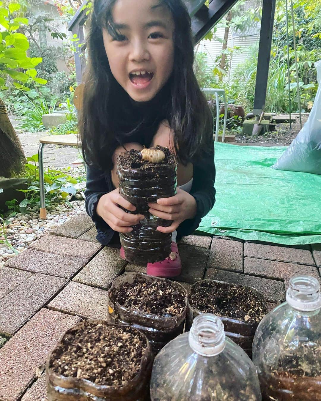 浅田芭路さんのインスタグラム写真 - (浅田芭路Instagram)「． みなさん、お元気ですか？ カブトムシの幼虫たちがさなぎになる前に、最後の土替えをしました！ (幼虫にがてな方は3枚目の写真注意してください💦) 弟が虫大好きで、カブトムシはおととしから飼育しています✨ 冬を越した幼虫は大きくなっていて、少しきいろっぽくて全然動いてない？と思ったけど、新しい土の上にのせると自分でもぐっていっておもしろかったです。 成虫になるのが楽しみです！！  #カブトムシ  #カブトムシ飼育  #カブトムシの幼虫  #弟は虫博士」4月18日 18時00分 - asada_halo__official