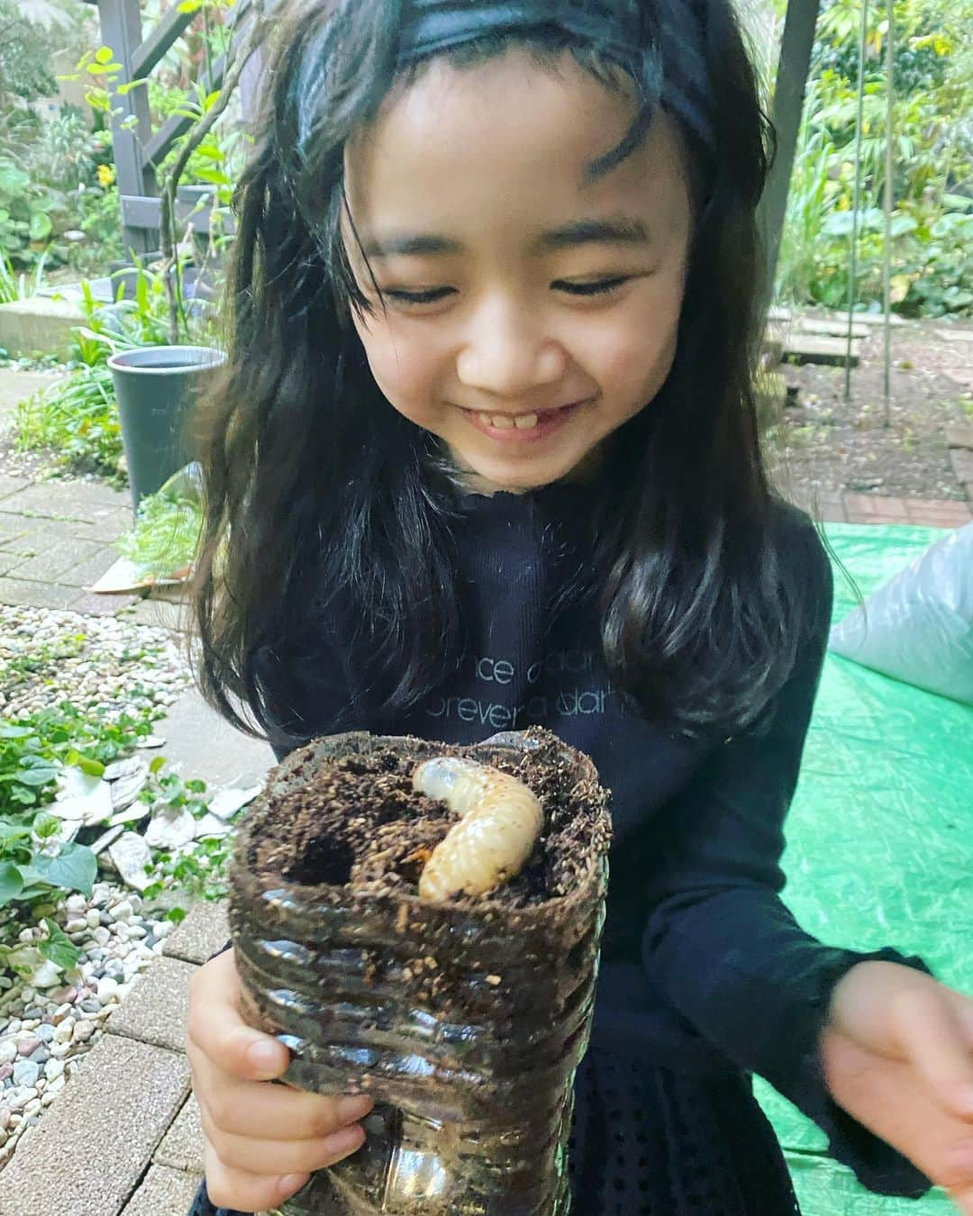 浅田芭路さんのインスタグラム写真 - (浅田芭路Instagram)「． みなさん、お元気ですか？ カブトムシの幼虫たちがさなぎになる前に、最後の土替えをしました！ (幼虫にがてな方は3枚目の写真注意してください💦) 弟が虫大好きで、カブトムシはおととしから飼育しています✨ 冬を越した幼虫は大きくなっていて、少しきいろっぽくて全然動いてない？と思ったけど、新しい土の上にのせると自分でもぐっていっておもしろかったです。 成虫になるのが楽しみです！！  #カブトムシ  #カブトムシ飼育  #カブトムシの幼虫  #弟は虫博士」4月18日 18時00分 - asada_halo__official