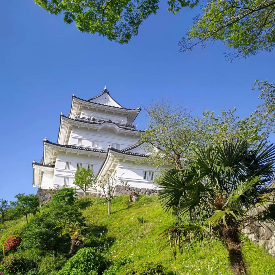 中田有紀のインスタグラム：「難攻不落の城、小田原城へ行ってきました🏯 お城の中の展示は見応えありましたが、とてもキレイに改修されていて、いわゆる昔のお城感はほぼないんですね😅 天気が良く眺めは最高✨ うっすらと伊豆大島まで見えました！ #小田原 #小田原城 #天守閣」