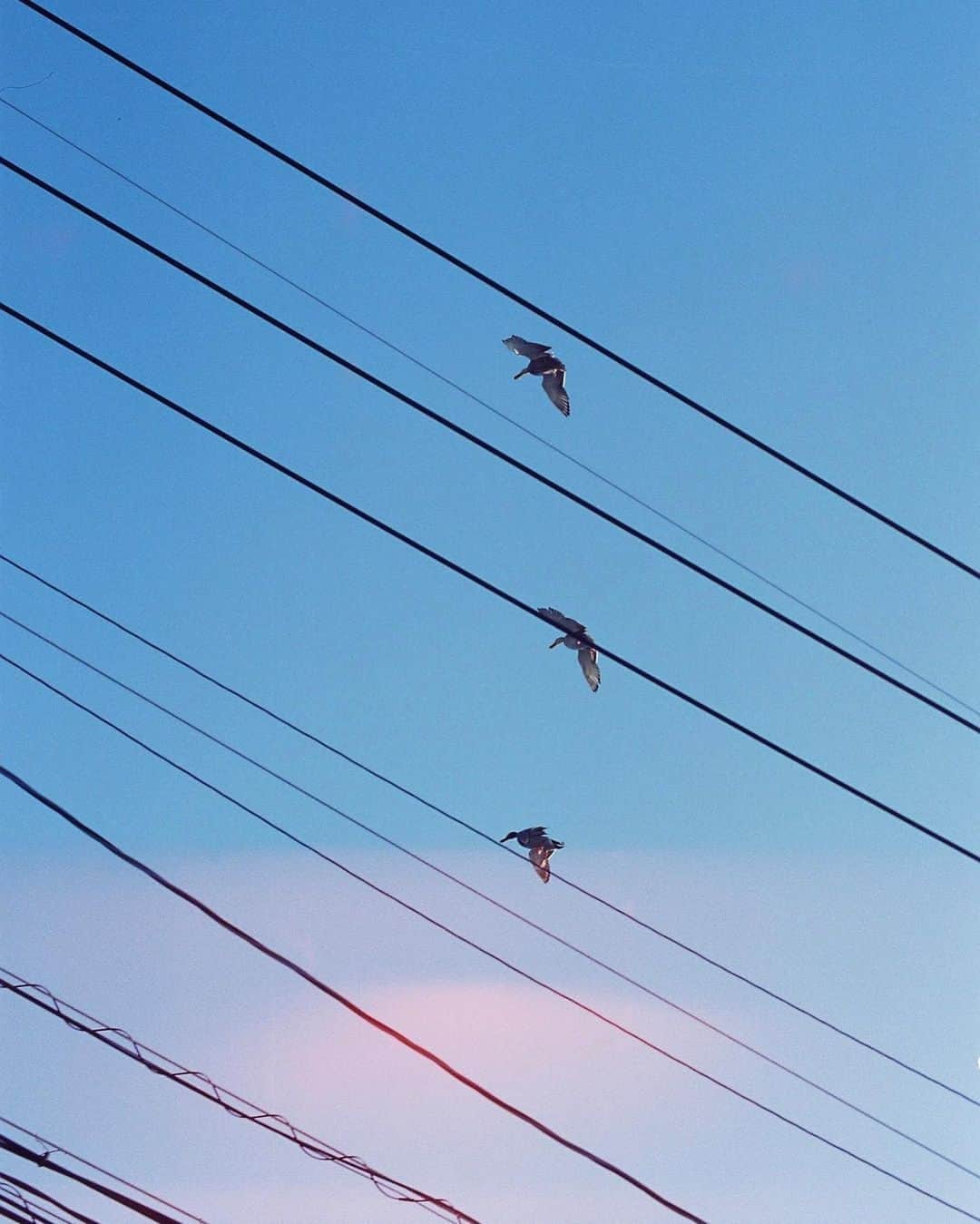 RECOさんのインスタグラム写真 - (RECOInstagram)「. Pickup #reco_ig by @hanatks_ ——————————————————— Information https://xico.media/news/reco-selection/ ——————————————————— produced by @wearexico」4月18日 12時00分 - reco_ig