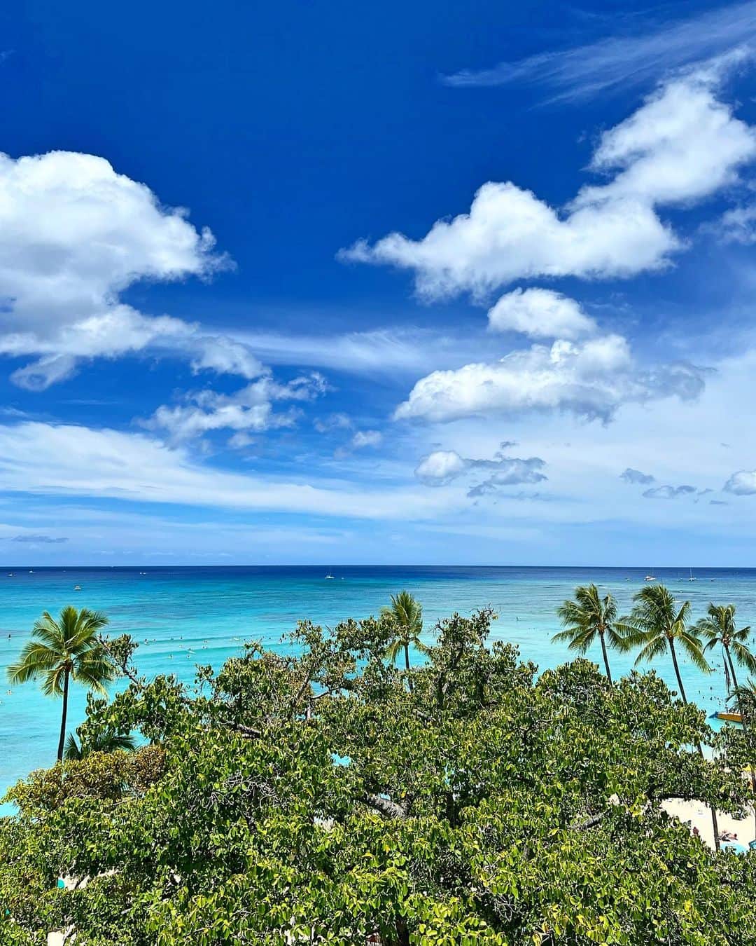 shihoさんのインスタグラム写真 - (shihoInstagram)「💙🌴💙🌴💙 ・ 📍Moana Surfrider ・ 以前に載せた場所とはまた違う場所。 ちょっぴりしか景色は変わらないけれど、 ちょっぴり変わる景色も また違う景色となり 全てが美しいHawaii♡ ・ #hawaii#islandofoahu#oahu#ハワイ#trip #オアフ島#travel#loco_hawaii#travel_jp #funtorip#タビジョ#旅MUSE#genic_travel #genic_mag#たびねす#旅行#genic_hawaii #moanasurfrider#ワイキキ#waikiki#honolulu #waikikibeach#hotel#beach#view#oahuhawaii #tabijyomap_hawaii#lealeahawaii#2023」4月18日 12時05分 - shiho.ga8