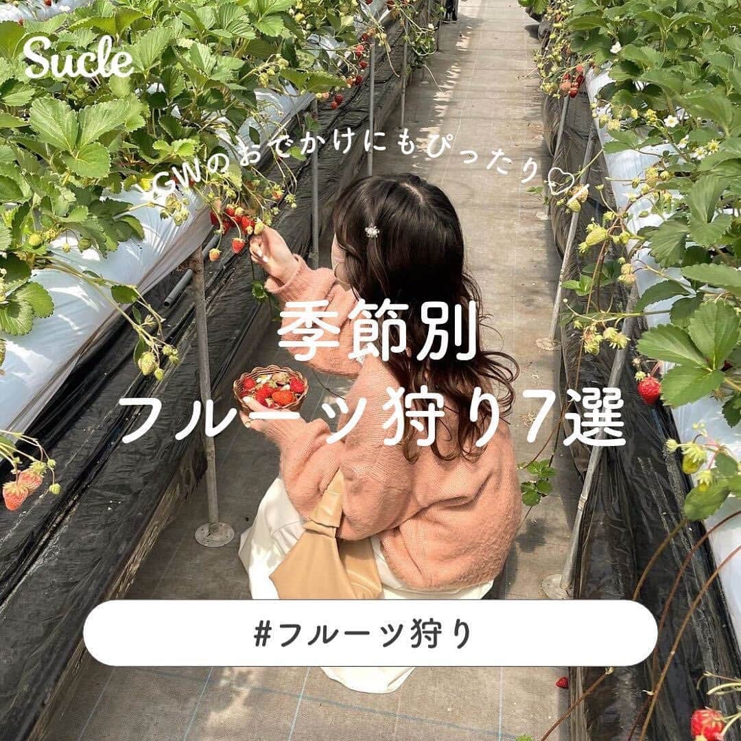 SUCLEのインスタグラム