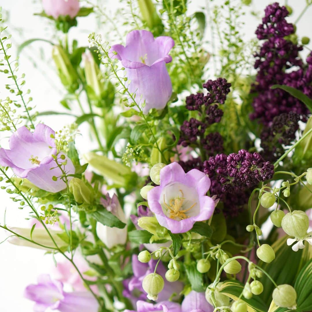 AOYAMA_HANAMOさんのインスタグラム写真 - (AOYAMA_HANAMOInstagram)「初夏の季節の音色を奏でる、カンパニュラ。 ・ 淡いピンクと紫の2種のカンパニュラ、深い赤紫のライラックなどの初夏の花々に、小さな花姿のグリーンベルや細やかなナズナを合わせた、新緑の季節にふさわしいデザインの花の定期便です。 花々のステム（茎）を活かして、高さのあるスタイルに仕上げています。 ・ ぷくっとしたフォルムのカンパニュラは、ラテン語で「釣り鐘」という意味の通り、鐘のような形の花をしています。別名・釣鐘草（ツリガネソウ）とも呼ばれている、キキョウ科ホタルブクロ属の一年草または二年草です。切り花は、生花店では早ければ4月中旬から7月ごろまで見かけることができます。 花言葉は「感謝」。可愛らしい印象の花姿も相まって、贈り物にもふさわしい花です。 ・ 青山花茂の「#季節の花の定期便」は、その時期に最適な花を使ってフラワーデザイナーがひとつひとつお作りしています。 これからの時期はカンパニュラをはじめ、初夏がシーズンの花々を中心にお作りします。ぜひ季節の花のある暮らしをお楽しみください。 - - - #aoyamahanamo #青山花茂 #お花のある生活 #花が好きな人と繋がりたい #花を飾ろう #花のある暮らし #花のあるくらし #花のある日常 #癒しの花 #季節の花 #旬の花 #花のサブスク #フラワーサブスクリプション #お花の定期便 #季節の花の定期便 #季節の花の定期便プレミアムプラン #カンパニュラ #釣鐘草 #風鈴草 #ライラック #グリーンベル #ナズナ #ナルコユリ #花瓶活け #花束 #ブーケ #ナチュラルブーケ #初夏の花」4月18日 18時00分 - aoyama_hanamo