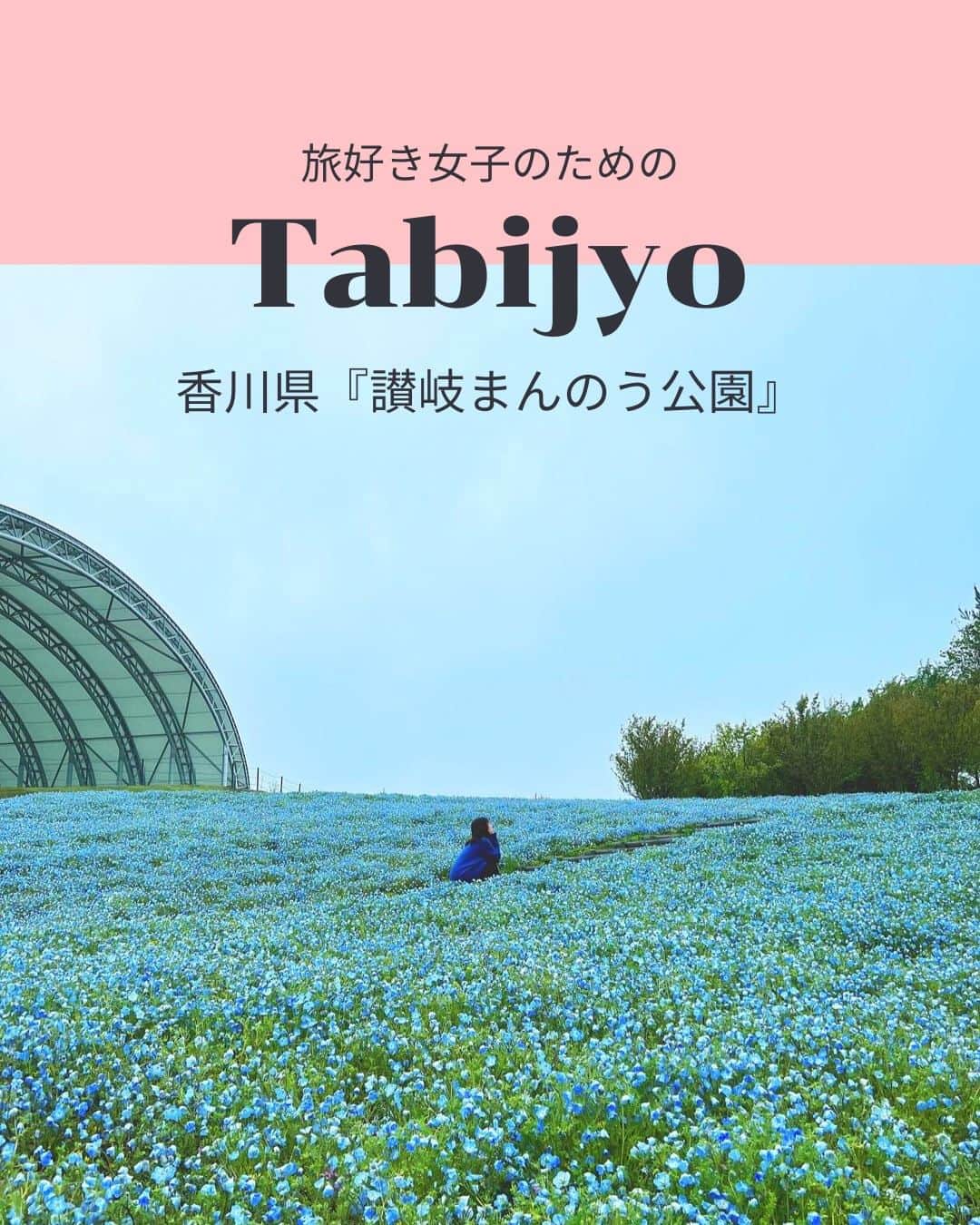 タビジョさんのインスタグラム写真 - (タビジョInstagram)「他のスポットはここから👉@tabi_jyo  香川県『讃岐まんのう公園』 本日の #タビジョ は ／ @sakaibuu さんの投稿をシェア💛💙 ＼  ☻︎☻︎✈︎✈︎✈︎✈︎✈︎✈︎✈︎✈︎✈︎✈︎☻︎☻︎  香川県にある四国唯一の国営公園 『讃岐まんのう公園』をご存知ですか？ 今、ネモフィラが一番見頃だそうです✨ みんなも日本各地のネモフィラ情報を タグ付けして教えてね💗  ☻︎☻︎✈︎✈︎✈︎✈︎✈︎✈︎✈︎✈︎✈︎✈︎☻︎☻︎  @tabi_jyo アカウントでは旅先の新たな魅力を発信中✨ スポットや写真の撮り方の参考におすすめ💛 レポーター募集などはアカウントから配信しているよ👭 気になる方はフォローしてね🌈  #タビジョ #旅行 #tabijyo #国内旅行 #tabijyomap_japan #香川県 #讃岐まんのう公園 #まんのう公園 #香川旅行 #四国旅行 #ネモフィラ #ネモフィラ畑」4月18日 18時00分 - tabi_jyo
