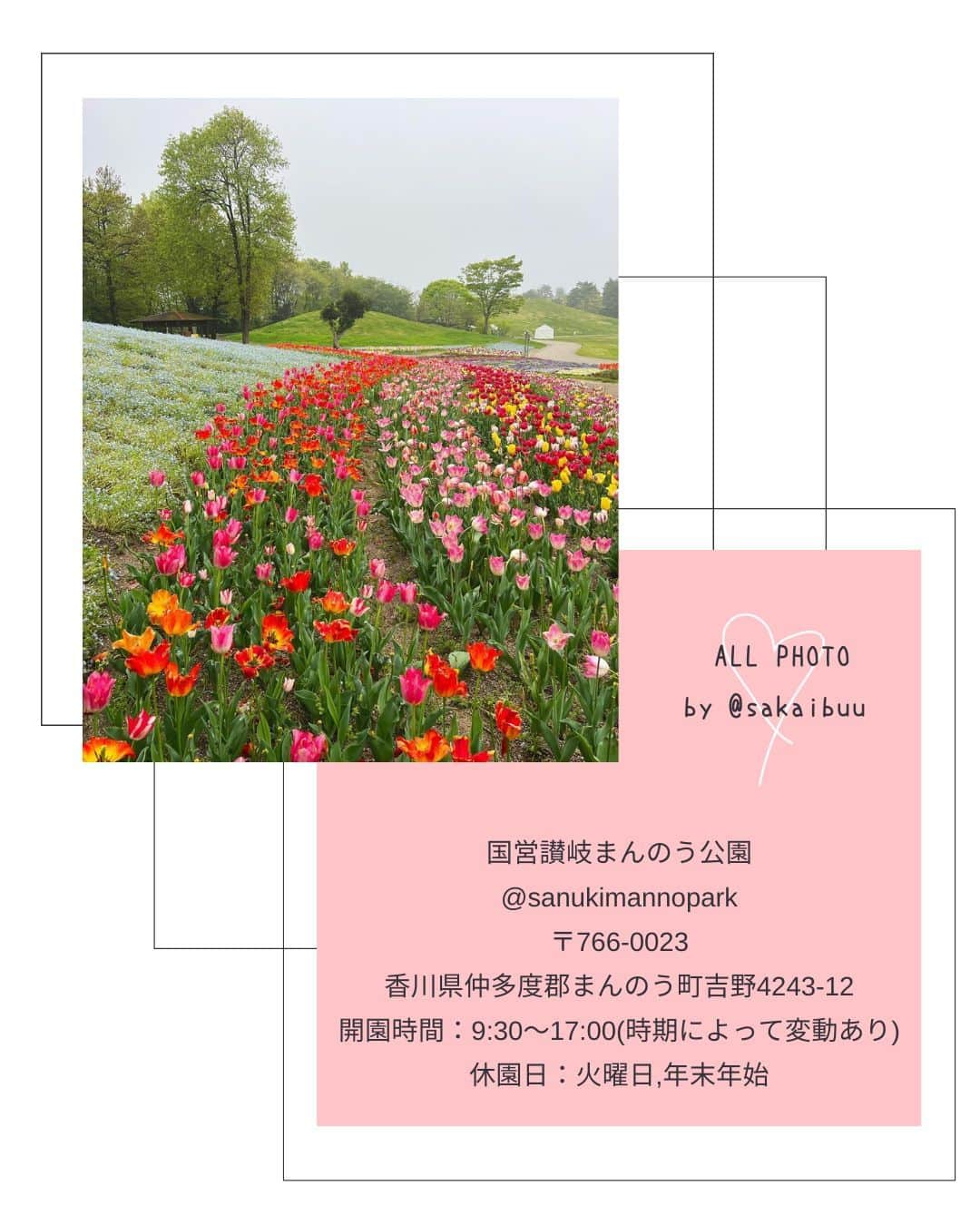 タビジョさんのインスタグラム写真 - (タビジョInstagram)「他のスポットはここから👉@tabi_jyo  香川県『讃岐まんのう公園』 本日の #タビジョ は ／ @sakaibuu さんの投稿をシェア💛💙 ＼  ☻︎☻︎✈︎✈︎✈︎✈︎✈︎✈︎✈︎✈︎✈︎✈︎☻︎☻︎  香川県にある四国唯一の国営公園 『讃岐まんのう公園』をご存知ですか？ 今、ネモフィラが一番見頃だそうです✨ みんなも日本各地のネモフィラ情報を タグ付けして教えてね💗  ☻︎☻︎✈︎✈︎✈︎✈︎✈︎✈︎✈︎✈︎✈︎✈︎☻︎☻︎  @tabi_jyo アカウントでは旅先の新たな魅力を発信中✨ スポットや写真の撮り方の参考におすすめ💛 レポーター募集などはアカウントから配信しているよ👭 気になる方はフォローしてね🌈  #タビジョ #旅行 #tabijyo #国内旅行 #tabijyomap_japan #香川県 #讃岐まんのう公園 #まんのう公園 #香川旅行 #四国旅行 #ネモフィラ #ネモフィラ畑」4月18日 18時00分 - tabi_jyo