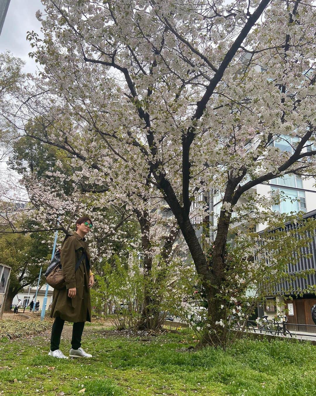 リュ・スヨンさんのインスタグラム写真 - (リュ・スヨンInstagram)「. 서늘한 #날씨에 지난달 #벚꽃생각   🌸」4月18日 12時43分 - suyoung_ryu