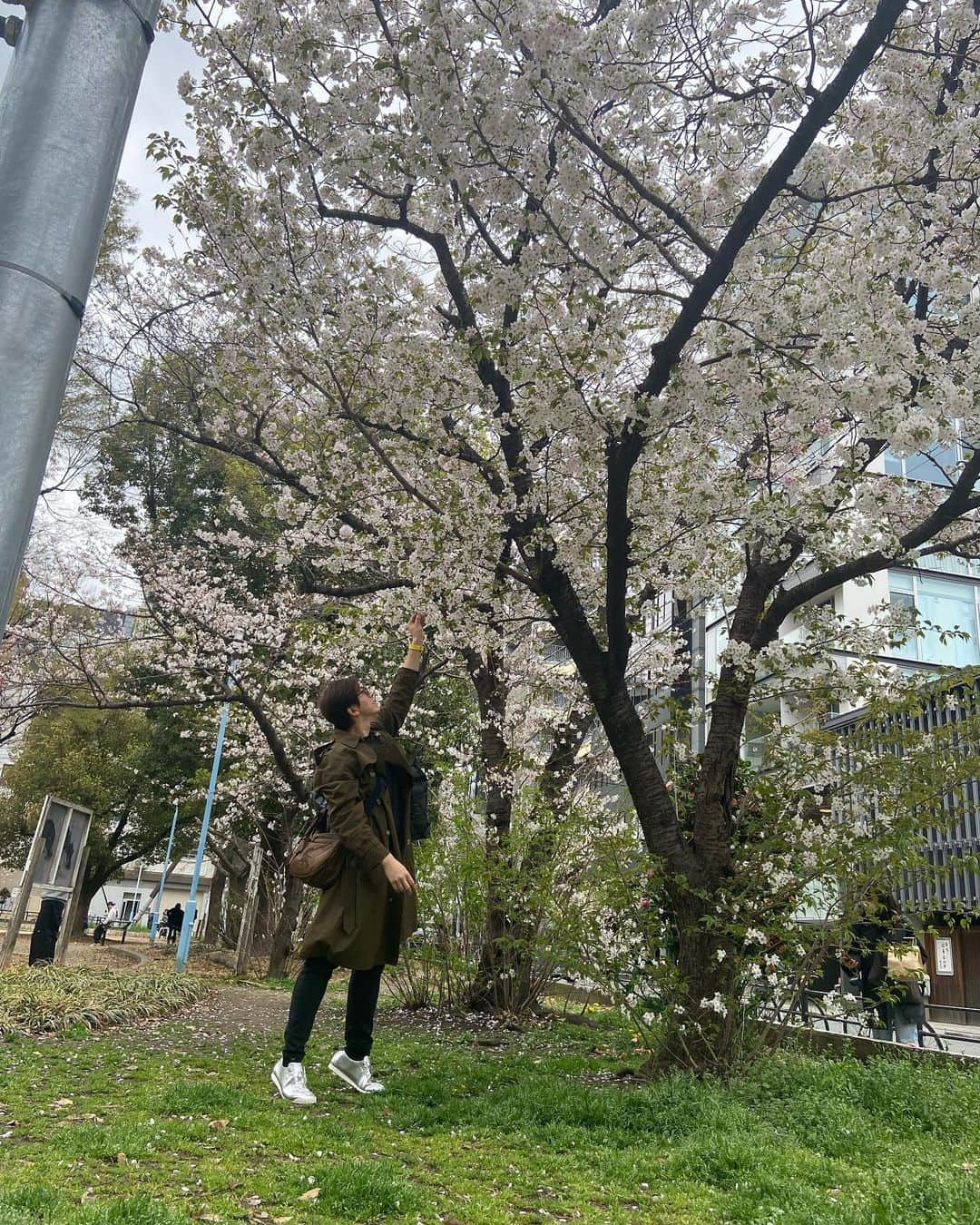 リュ・スヨンさんのインスタグラム写真 - (リュ・スヨンInstagram)「. 서늘한 #날씨에 지난달 #벚꽃생각   🌸」4月18日 12時43分 - suyoung_ryu