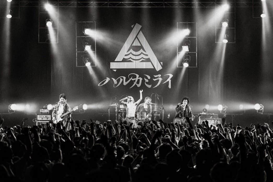 ハルカミライさんのインスタグラム写真 - (ハルカミライInstagram)「2023/04/15 (Sat) Zepp Sapporo ハルカミライ presents 「ヨーロー劇場2023 - FLOWER JOE -」  Photo by @ayumu10.18」4月18日 13時15分 - harukamirai_info