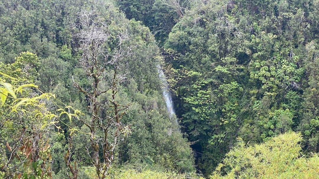 青山有紀さんのインスタグラム写真 - (青山有紀Instagram)「アカカ滝州立公園。 滝の長さにびっくり！！ハワイ最大の落差だそうです」4月18日 13時37分 - yukiaoya