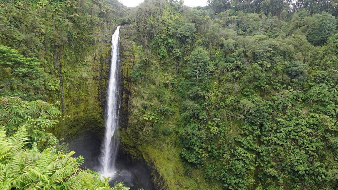 青山有紀さんのインスタグラム写真 - (青山有紀Instagram)「アカカ滝州立公園。 滝の長さにびっくり！！ハワイ最大の落差だそうです」4月18日 13時37分 - yukiaoya