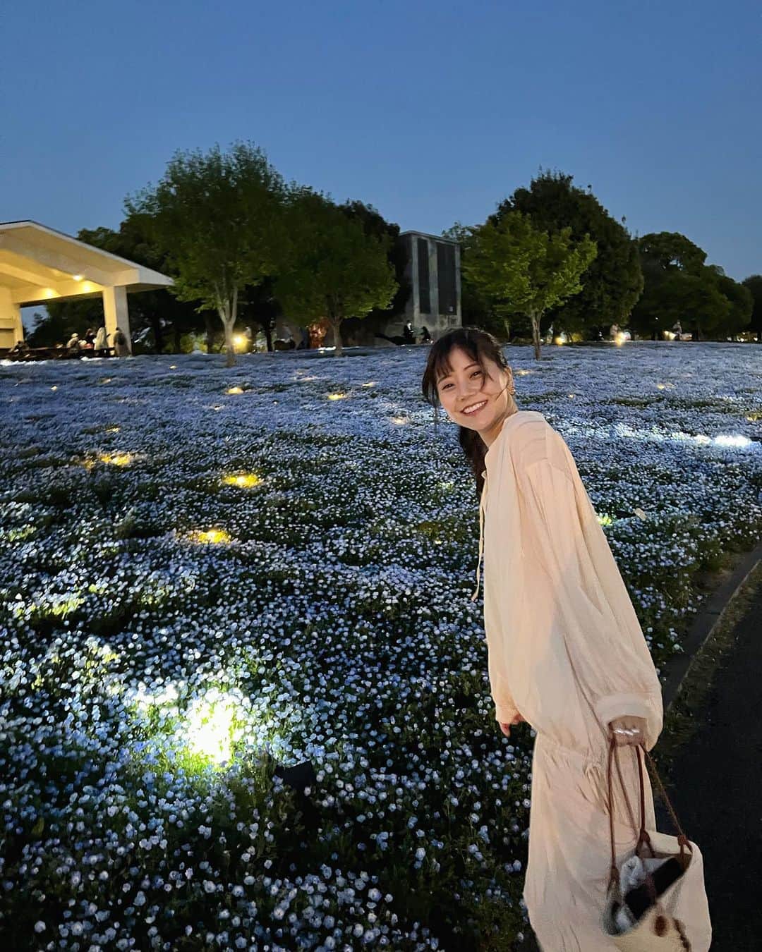 今井美桜さんのインスタグラム写真 - (今井美桜Instagram)「＊ 花と光のムーブメントin舎人公園🌼  とにかく舎人公園は広くてびっくり！！ @tokyo_parks   千本桜と言って約1000本の桜、青く輝くネモフィラも！ 夜のネモフィラは、今まで見た中で一番きれい🫢 でも個人的には夕方も好き！うっとりしちゃいました♡  今週末までのイベントなので、ぜひ皆さんも行ってみてね！  #花と光のムーブメント #舎人公園 #はなまっぷ  #ライトアップ #ソメイヨシノ #レーガン桜 #夜景  #ネモフィラ #カモ #4月23日まで開催中 #pr  #タイアップ #昼は家族と #夜はデート #ピクニック」4月18日 14時08分 - mio_ima49