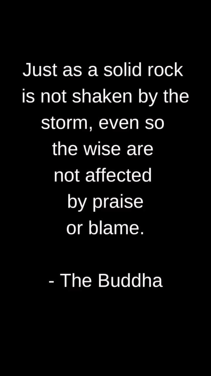 ジェイムズ・バーバーのインスタグラム：「Just as a solid rock is not shaken by the storm, even so the wise are not affected by praise or blame. - The Buddha」