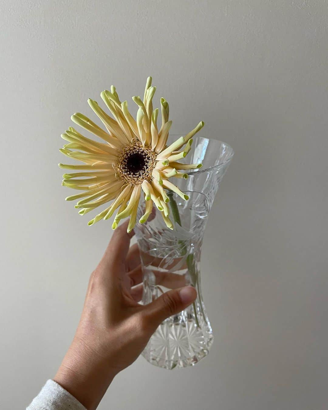 森田理香子さんのインスタグラム写真 - (森田理香子Instagram)「． ． 花瓶みたいななんなのか、、、 優勝した時にもらったのか、、、 綺麗なのでつかってみよう🙃  #花#癒し#いつかの物#花瓶#ばえるのか」4月18日 15時12分 - 1_rikako