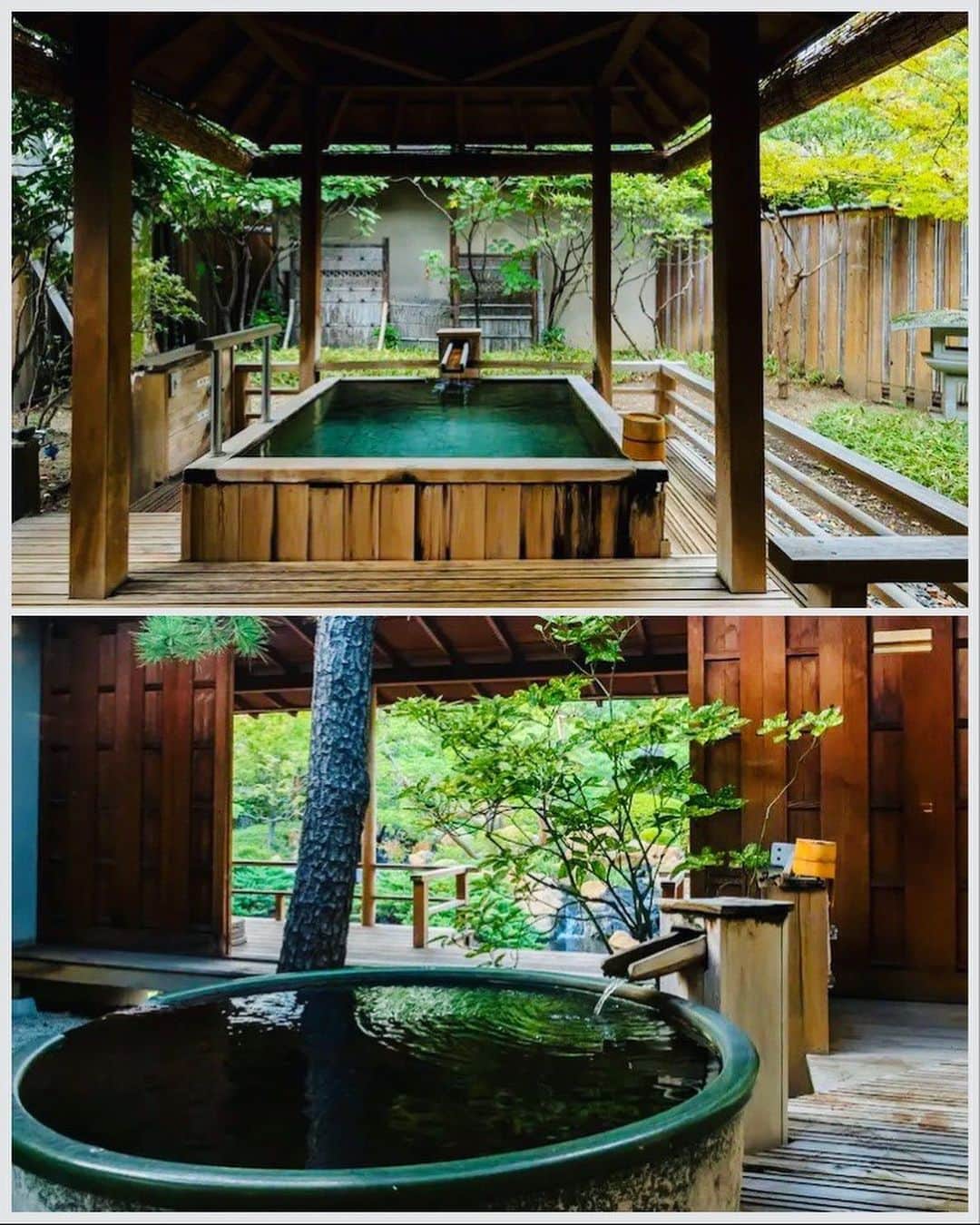 JAPAN TRIP 大人旅〜厳選の宿〜さんのインスタグラム写真 - (JAPAN TRIP 大人旅〜厳選の宿〜Instagram)「．@hoteltokiwa 緑に囲まれ、文化的な魅力があふれる甲府の迎賓館。  日本建築の粋を集めた趣き溢れる個性豊かな離れが11室。他にも様々なタイプの客室が用意されいます。温泉はゆったり長湯ができる最適な温度。庭園を眺めながら露天風呂でリラックスできます。  ＝DATA＝＝＝＝＝＝＝＝＝＝＝＝＝＝＝＝＝ 📍信玄の湯　湯村温泉　常磐ホテル @hoteltokiwa  ■ 山梨県甲府市湯村2-5-21 ■ 50室 ■ IN 15:00～／OUT 11:00  ■ 2名：55,000円～（夕朝食付） ※目安料金です。料金は施設に確認ください。 ＝＝＝＝＝＝＝＝＝＝＝＝＝＝＝＝＝＝＝＝＝  🔸温泉 🔸露天風呂付客室 🔸露天風呂 🔸大浴場 🔸子供可 🔸ペット不可  ︎✈︎−−−−−−−−−−−−−−−−−−−−−−−−−−−−−✈︎ 　気になった方は保存しておくと便利です👍  　泊まったことがあれば、体験談＆感想等、 　コメント欄に書いて頂けると嬉しいです🙇‍♂️ ✈︎−−−−−−−−−−−−−−−−−−−−−−−−−−−−−✈︎  #おすすめホテル #山梨旅行 #湯村温泉 #温泉旅行 #温泉旅館 #露天風呂 #露天風呂付き客室 #日本庭園 #onsen #ryokan」4月18日 17時00分 - otonatabi_jpn