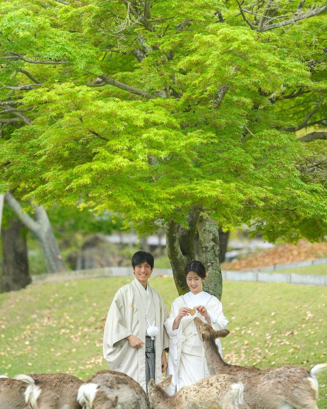 studioTVB NARAのインスタグラム：「奈良公園、浮見堂🌳🦌 ・ これから新緑シーズンで過ごしやすい季節になりますね🌿✨ ・ 奈良の若草山は緑が綺麗で山頂から見渡す 街並みの景色がとても綺麗なスポットです🌳🫧 ・ 奈良の撮影ご予約も是非 お待ちしております🦌🤍    ┈┈┈┈┈┈┈┈┈┈┈┈┈┈┈┈┈┈  撮影のご予約やお問い合わせはHPの お問い合わせフォーム・DM・ お電話より受け付けております🌸  💌 namba@st-tvb.jp 📞06-6616-9890  営業時間 月〜金 11:00-20:00 土日祝 10:00-19:00  前撮り / ウエディングフォト @studiotvb_namba @decollte_weddingphoto @decollte_wedding  ┈┈┈┈┈┈┈┈┈┈┈┈┈┈┈┈┈┈┈┈  #撮る結婚式 #スタジオTVBなんばパークス店 #スタジオTVB  ┄┄┄┄┄┄┄┄┄┄ #新緑 #フォトウェディング #大阪前撮り #関西前撮り #結婚式準備 #結婚式レポ #プレ花嫁 #卒花嫁 #関西花嫁 #大阪花嫁 #日本中のプレ花嫁さんと繋がりたい #結婚式前撮り #前撮り #後撮り #結婚前撮り #結婚写真 #ウェディングフォト #ロケーションフォト  #ロケーション前撮り  #花嫁ヘア #カラードレス  #洋装ヘアアレンジ  #洋装前撮り  #ドレス試着  #ブライダルアクセサリー  #ウエディング撮影  #若草山」