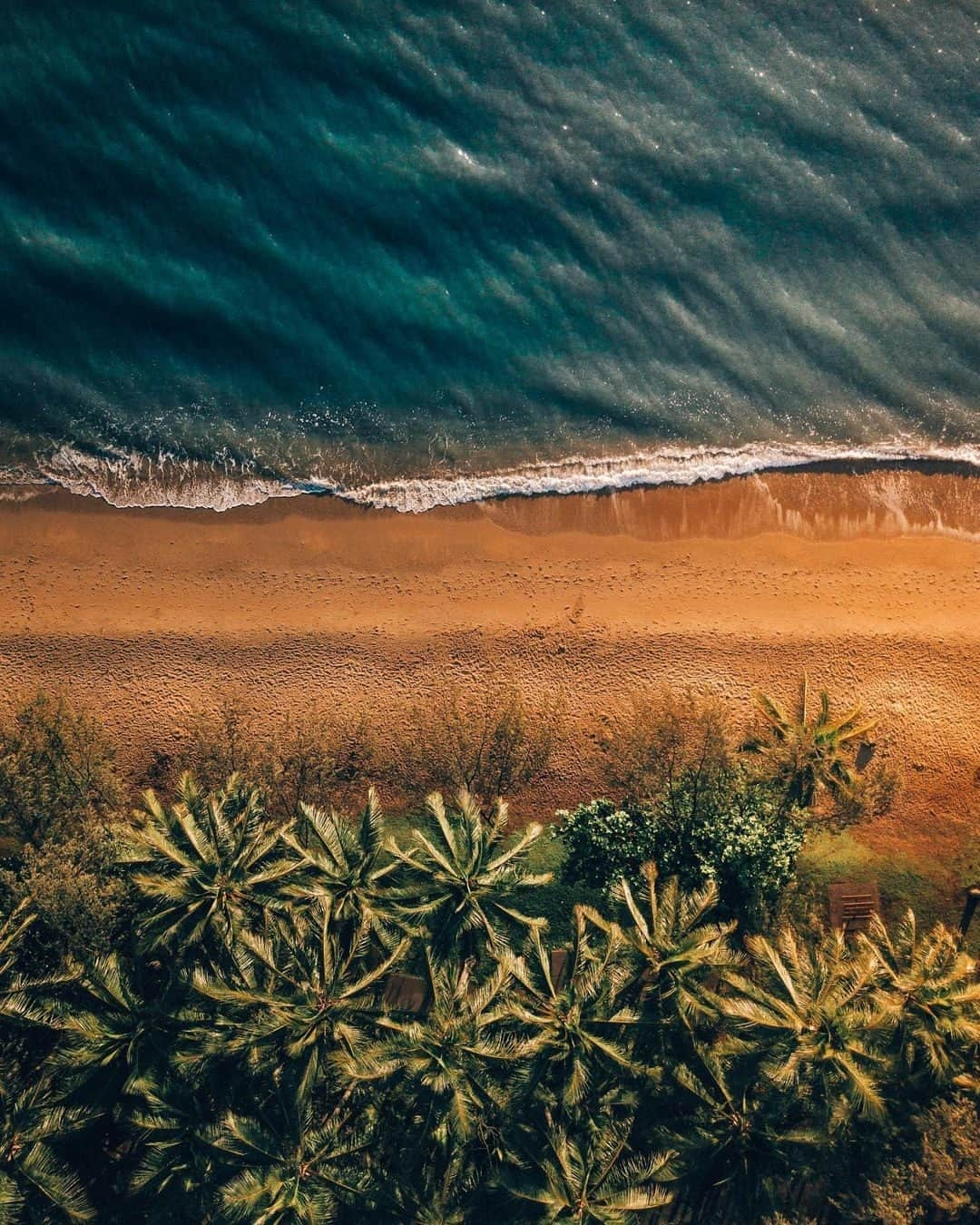 Coronaさんのインスタグラム写真 - (CoronaInstagram)「Only 30-minutes from Cairns, Palm Cove is an idyllic pocket of paradise. ⁣ ⁣ A small village, Palm Cove offers an alternative way of living for Australians and travellers. Home to just 200 locals, it act as a sanctuary from bustling city life. ⁣ ⁣ If you prefer to experience peace and quiet, then wander around Palm Cove and embrace the innovative local cuisine, hire a kayak and watch the sunset, or visit one of the spas on the island. ⁣ ⁣ This is a place for you to enjoy in a way that is authentic. Endless possibilities exist on Palm Cove.⁣ ⁣ #ThisIsLiving⁣ ⁣ 📸: @jaxonfoale⁣ ⁣ #PalmCove #Cairns #Australia」4月19日 2時00分 - corona