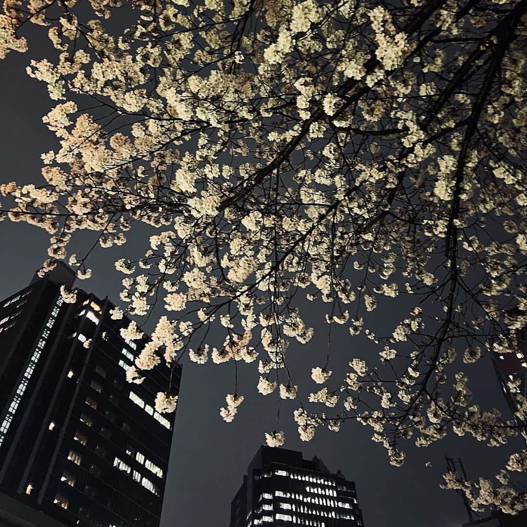 LISAのインスタグラム：「🇯🇵」