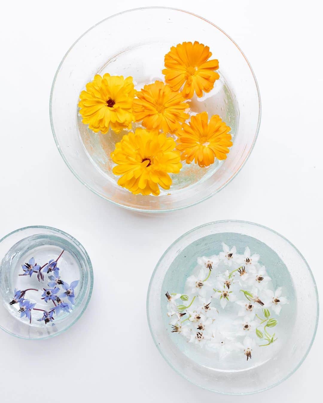 のインスタグラム：「Rounded bowls that do more than most. ✨  No need to keep these confined to the kitchen. Each size can serve more than one purpose around the house — from entryway catch-all to coffee table conversation piece or as a shelf accessory.」
