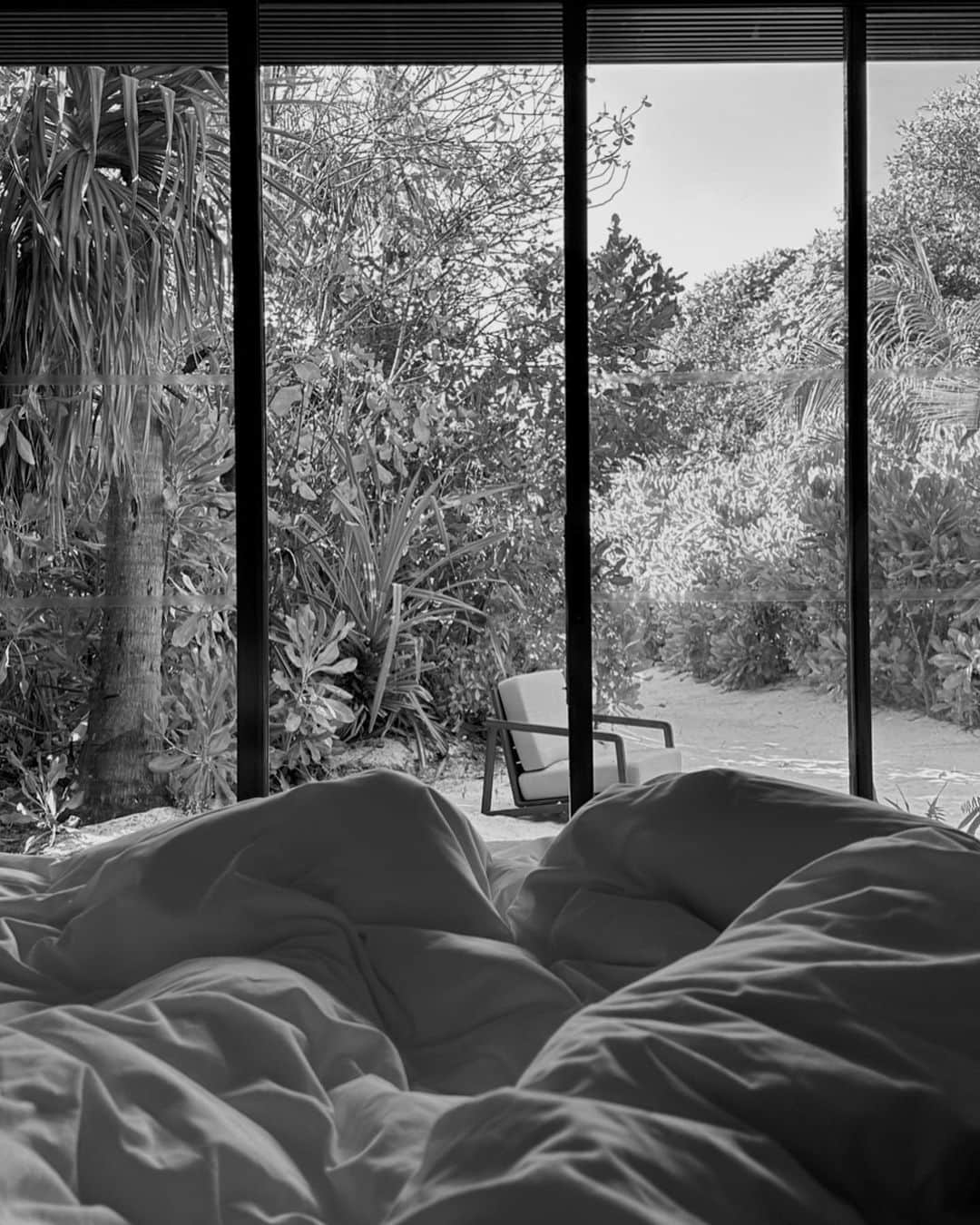 Mathilde Goehlerのインスタグラム：「Already miss waking up here 🌹」
