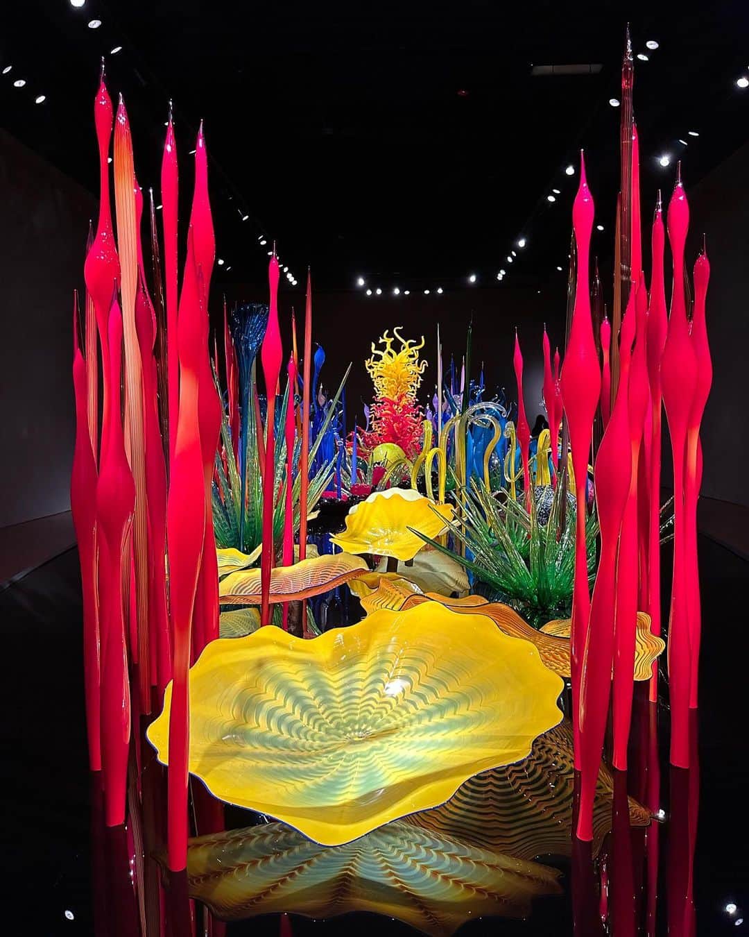 ながしまみのりさんのインスタグラム写真 - (ながしまみのりInstagram)「【🌊Memories of Seattle🦦】 初シアトル。Chihuly Garden and Glass(@chihulygg)の展示がお気に入り。 そしてラッコのもふもふの虜になりました。 My first time in Seattle, I loved the Chihuly Garden and Glass exhibit. And I was fascinated by the sea otter fluff.  ・  🎸#MoPOP @mopopseattle Architecture by #FrankGehry  ☕️The First #Starbucks @pikeplacepublicmarket  🍬The #GumWall  🦦#Seaotter #SeattleAquarium @seattleaquarium …もふもふ♡  🌐Amazon Seattle #Spheres  🗼#SpaceNeedle @spaceneedle  🔮#ChihulyGardenandGlass @chihulygg …The exhibition space was wonderful!!  ・ #みのさんぽ #Seattle #シアトル」4月18日 18時16分 - minori.nagashima