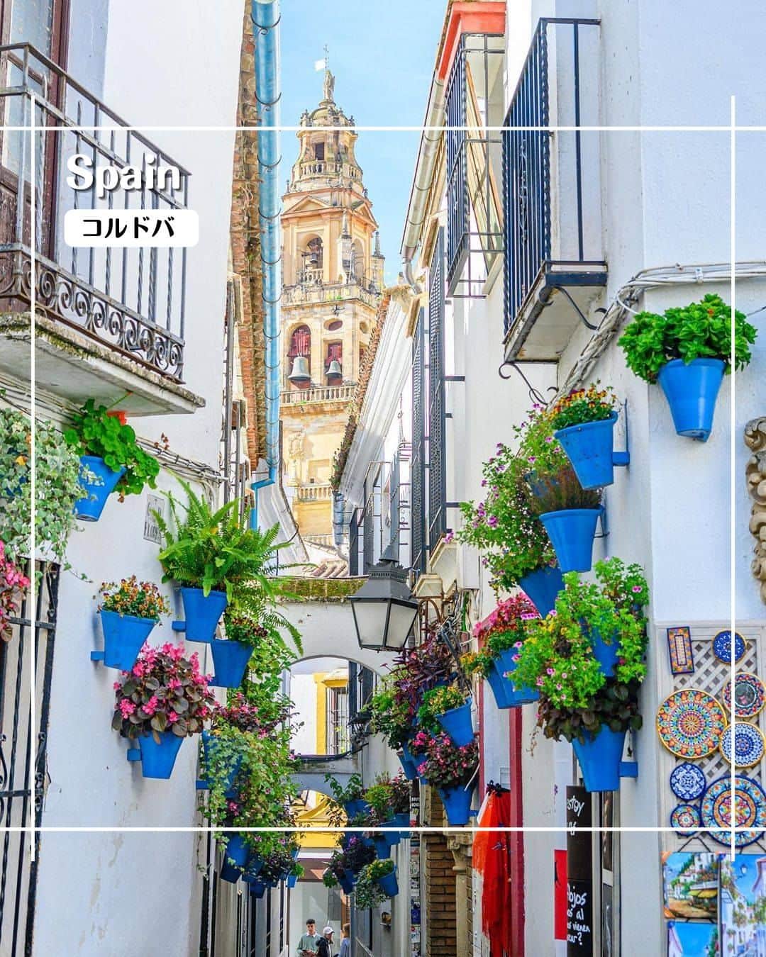エイチ・アイ・エスさんのインスタグラム写真 - (エイチ・アイ・エスInstagram)「＼道沿いに花が飾られた花の小径💐／  今日は海外の春をお届けします🌷  白壁と色とりどりの花や植物が美しい、 スペイン南部のコルドバにある「花の小径」 コルドバは世界遺産にも登録されている、スペインの人気の観光都市です🛫  奥に見えているのは「メスキータの鐘」🔔 こちらもコルドバを代表する世界遺産です✨ 街並みも色鮮やかで見てるだけで楽しめそうな場所ですね💚 …………………………………………………………… 📍 #花の小径 （スペイン・コルドバ） 📸 @jiananana さん  5月のパティオ祭りが有名なコルドバ。 ユダヤ人街は白壁に花の植木鉢が飾られたとても可愛らしい街並みで、歩いているだけでも楽しい場所です。 人気撮影スポットの「花の小径」では、タイミング良く人の少ない時間に撮影することができました。 ……………………………………………………………  旅先探しのヒントは こちらをチェック▶︎▶︎▶︎ @his_japan  —————— 📷旅のお写真募集中✈️ ——————  日本中、世界中の春旅のお写真を募集中🌸 #春旅のセカイ2023 のハッシュタグを付けて投稿してね🌹  また、旅の思い出は、@his_japan OR #his_japan2023 を付けてシェアしてください🙌  過去PICもOKです❗️  集まったお写真は、HISのSNSやオウンドメディアでご紹介🙆‍♀️  #旅の思い出 #海外旅行  #スペイン旅行 #コルドバ #コルドバ歴史地区 #アンダルシア地方 #スペインおすすめ #スペイン街歩き  #次の旅先リスト #旅行好きな人と繋がりたい #写真好きな人と繋がりたい #旅したくなるフォト #旅スタグラム #インスタトラベル #女子旅 #ハネムーン  #instatravel #instapassport #photooftheday #instaphotography #worldtravelpics #worldtraveler #japantravelphoto #spaintrip #córdoba #callejadelasflores」4月18日 18時30分 - his_japan