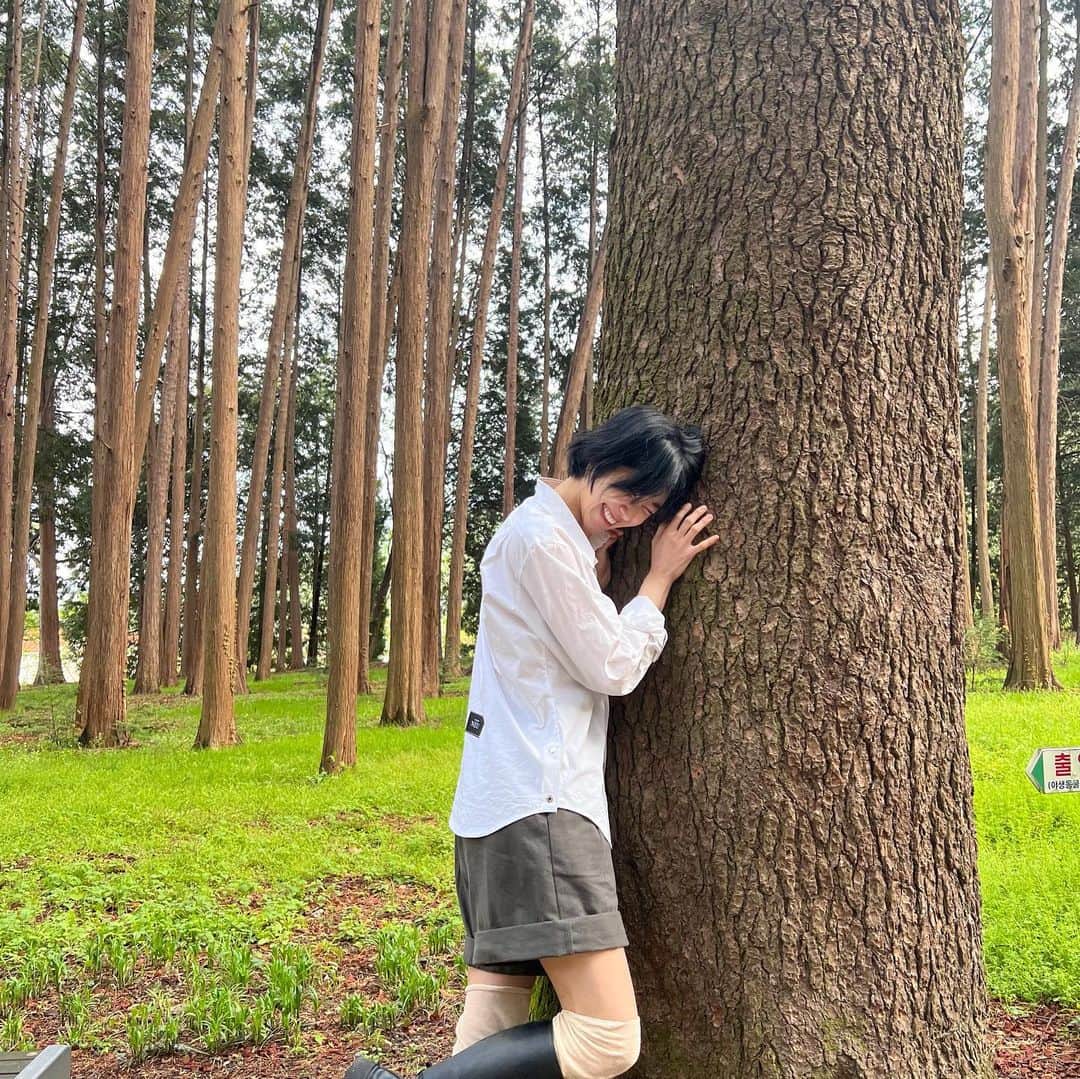 ハユンさんのインスタグラム写真 - (ハユンInstagram)「초록이 주는 힘 🌳  #폰토그래퍼 by 임유.진.의 포토북 pt.1」4月18日 18時44分 - leehwasi